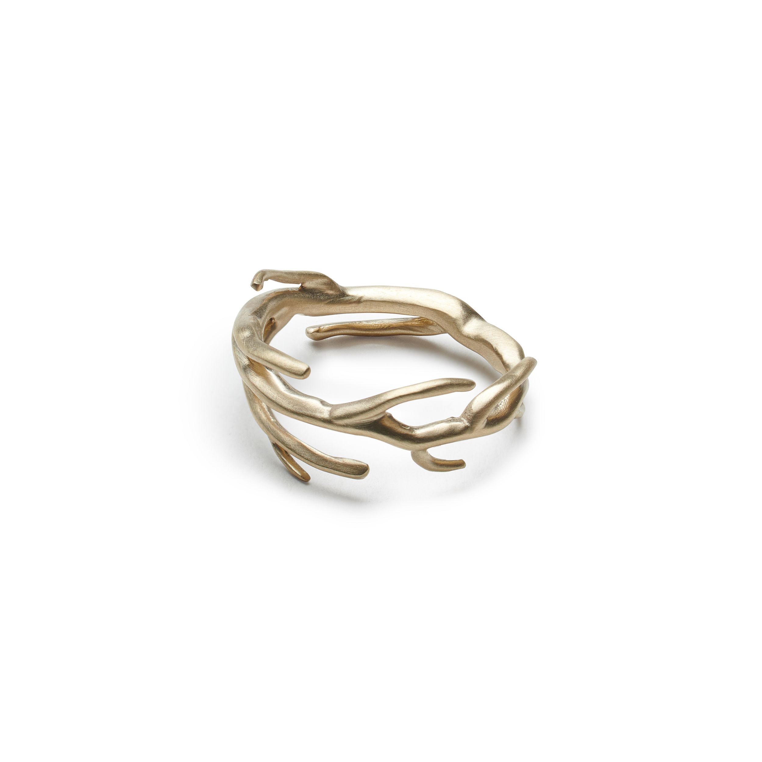 Verge Twig Ring - Courtney Reckord