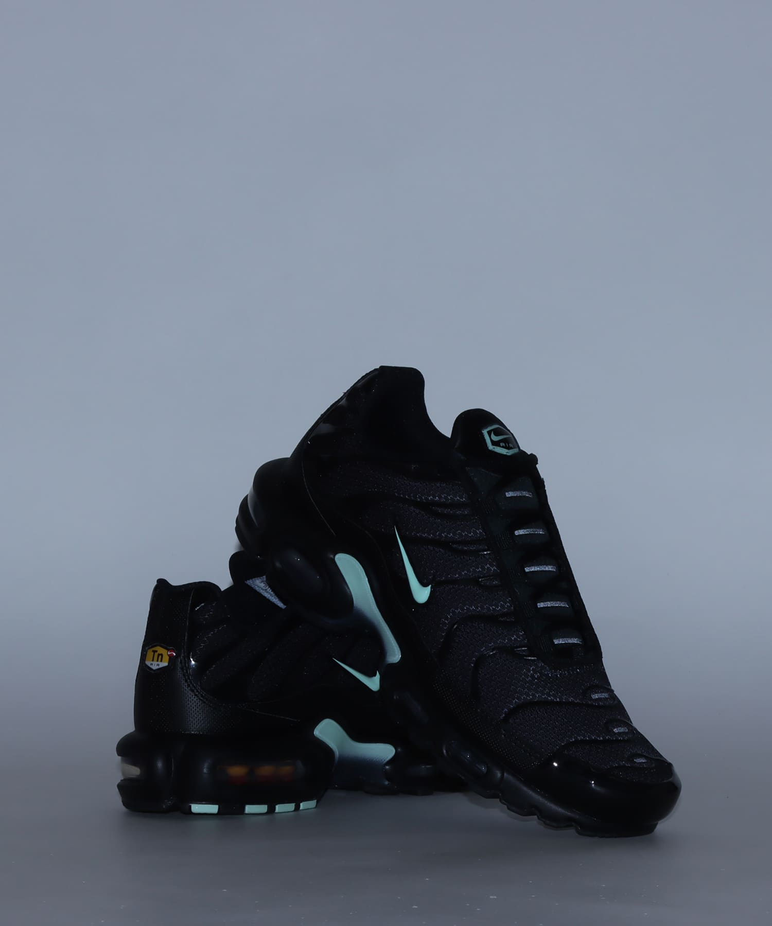 NIKE AIR MAX PLUS BLACK/MINT FOAM-DK SMOKE GREY（ナイキ エア