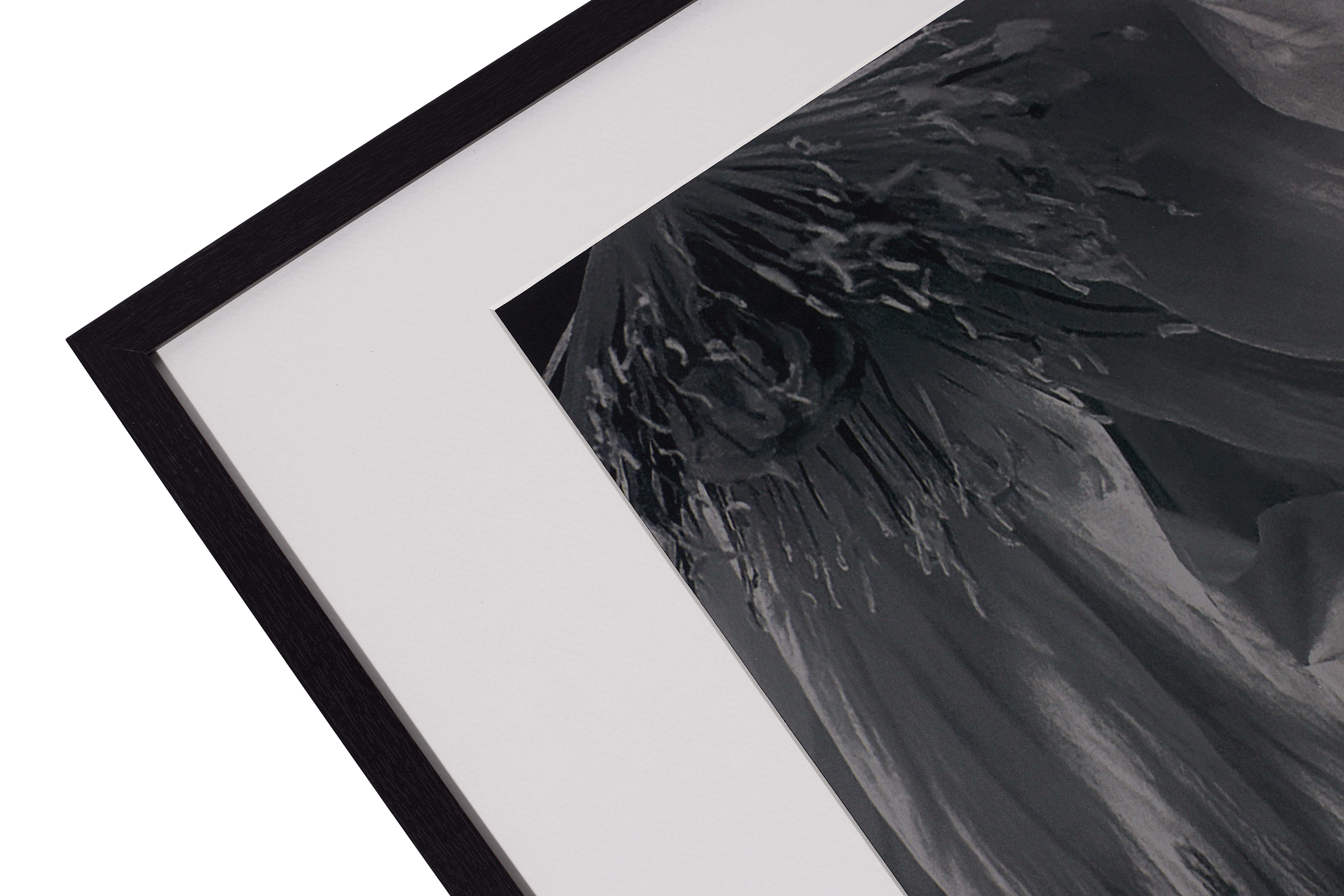 モダンなコンテンポラリーウォールアート | コンテンポラリーな