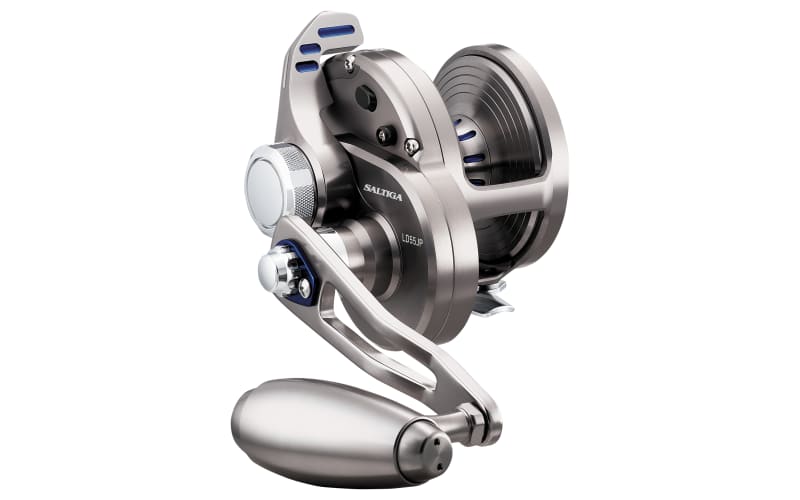 Daiwa Saltiga LD Conventional Reel | Bass Pro Shops
