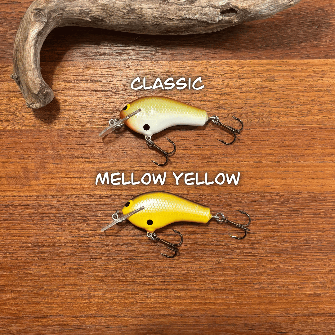 Rare! 2005 Zoom WEC Crankbaits Z-Flat Coffin Bill | Epic Eric's