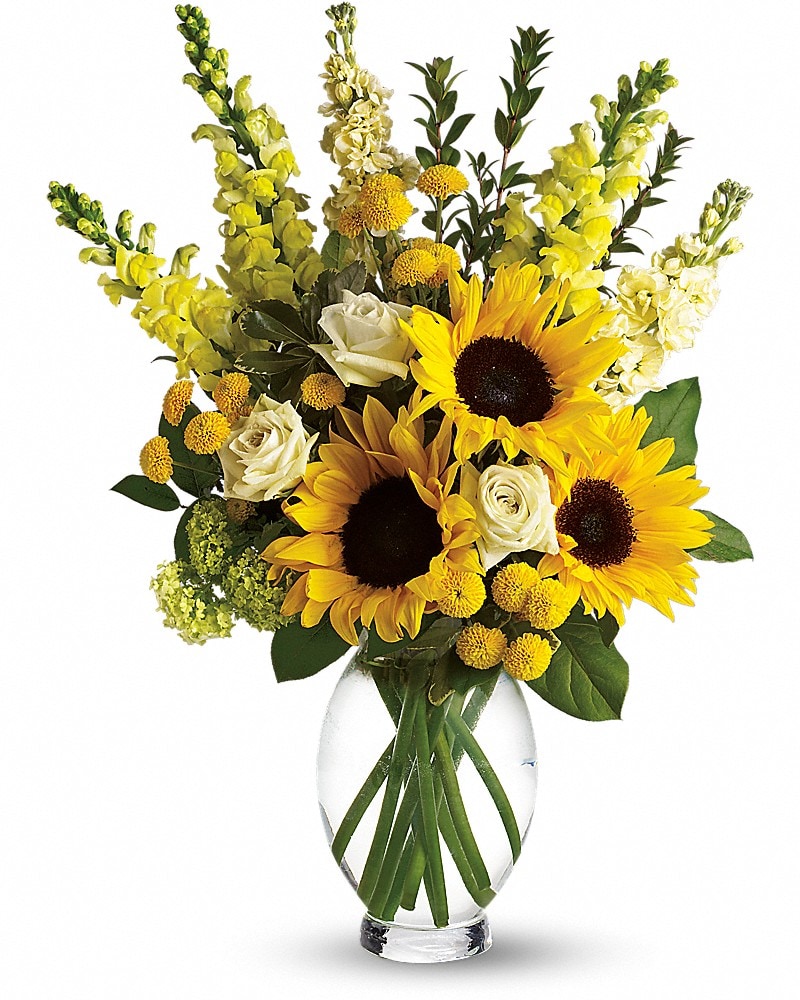 Here Comes The Sun by Teleflora - by Soukal Floral Co. & Greenhouses