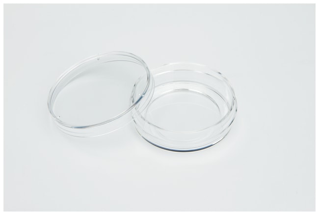 Thermo Scientific Nunc Glass Bottom Dishes 40.4 mm | Buy Online