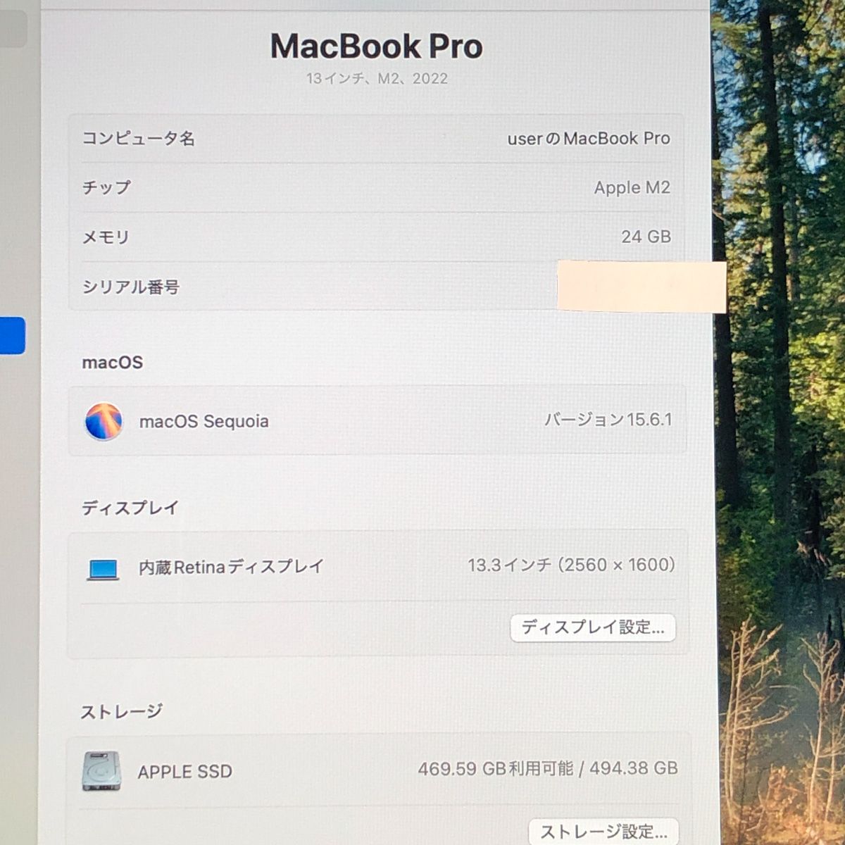 ◇ジャンク品・本体のみ◇Apple MacBook Pro (13インチ M2 2022) 【M2