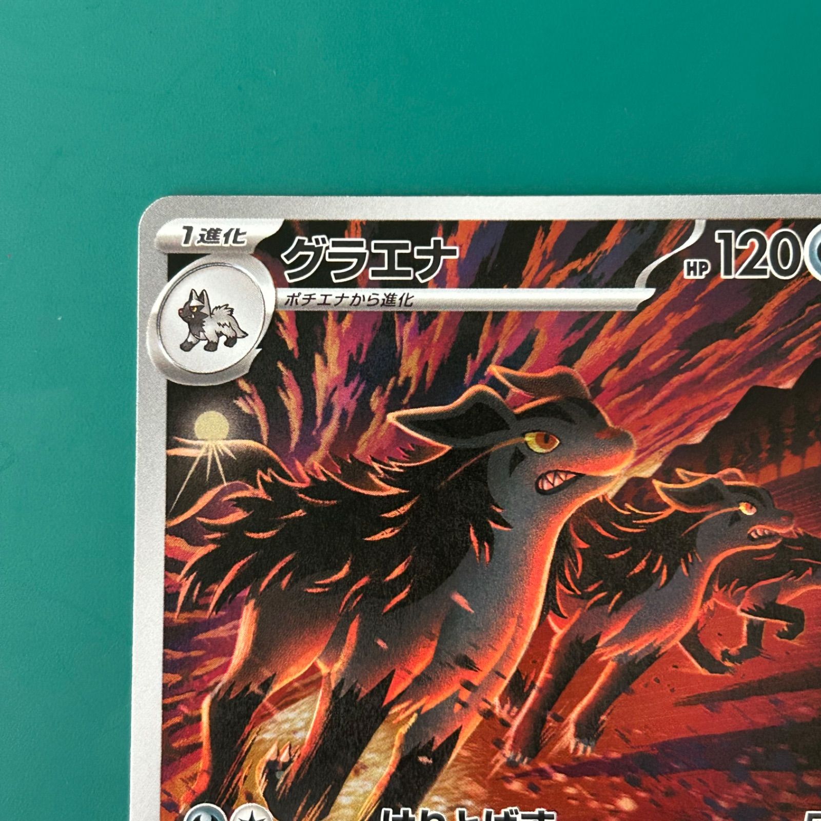 ポケモンカード グラエナ AR仕様 （MC 753/742）スタートデッキ100