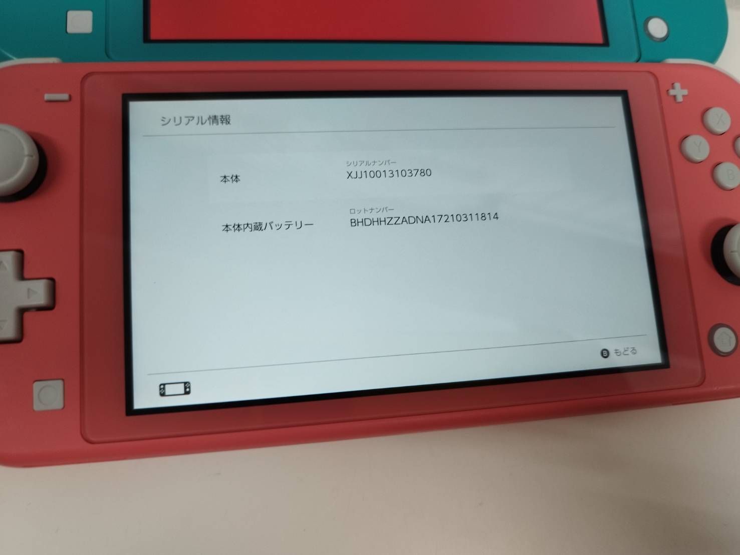 良品】Nintendo Switch Lite HDH-001/2台セット・タフポーチつき