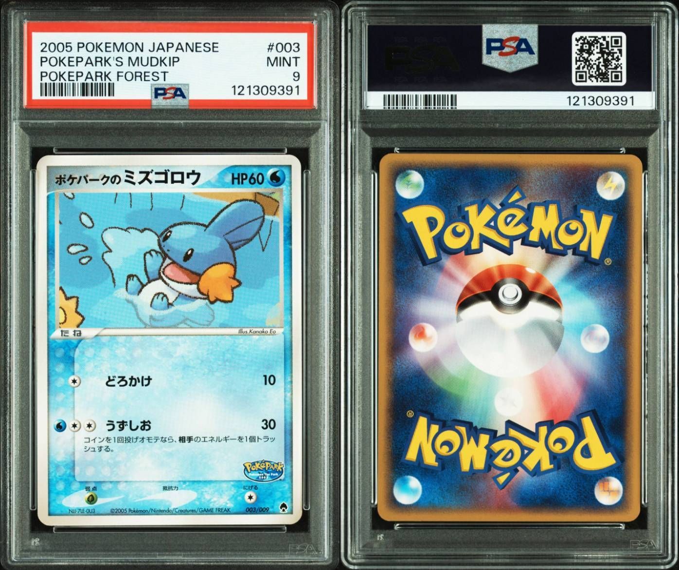 ポケパークのミズゴロウ PSA9 ポケパークプレミアムファイル 003/009