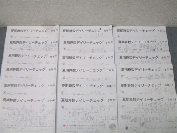 SAPIX サピックス 6年 夏期算数デイリーチェック 01～18 テスト計18