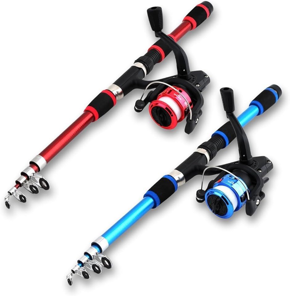 送料無料】釣りセット 初心者 釣り道具 伸縮式釣竿2本＋スピニング