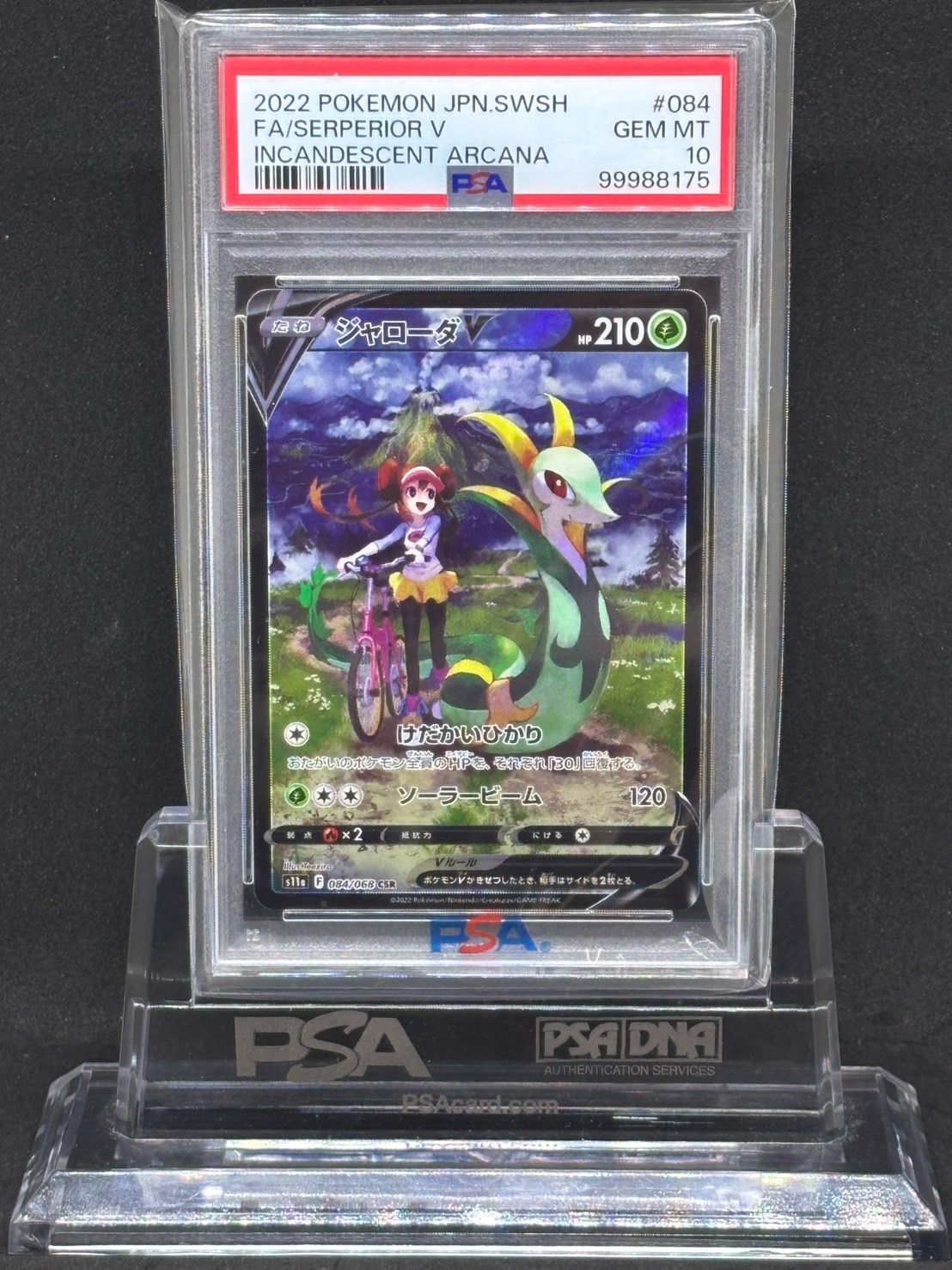 ジャローダV《PSA10》[CSR](S11a-084⁄068) | ポケモンカードゲーム