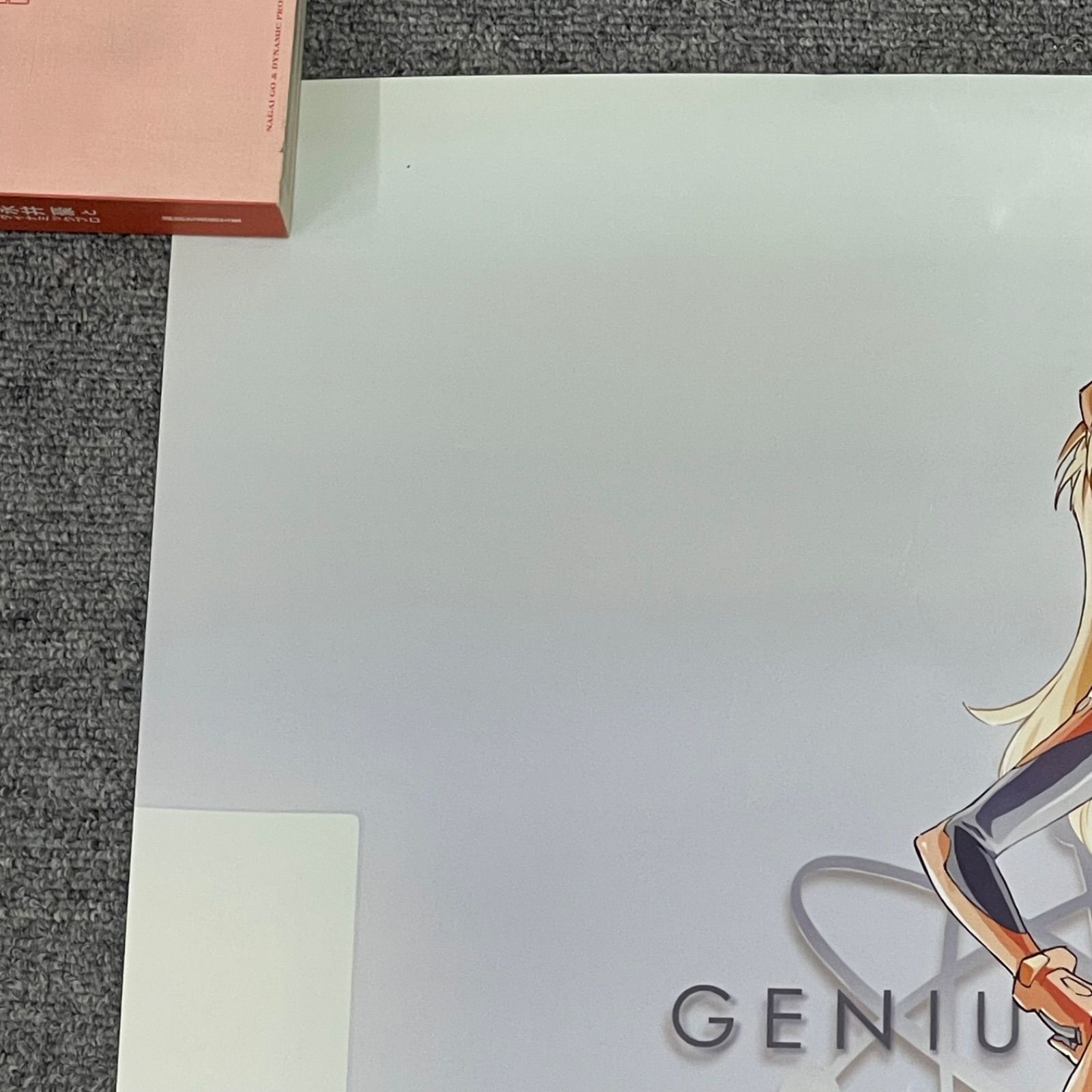 NPA】新世紀エヴァンゲリオン 新劇場版:破 Mac Fan コラボ 500名限定