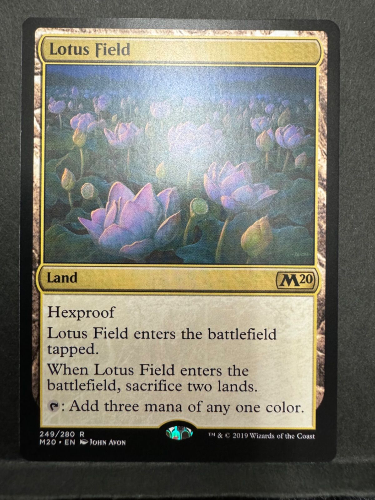 MTG 睡蓮の原野 英語 M20 - メルカリ