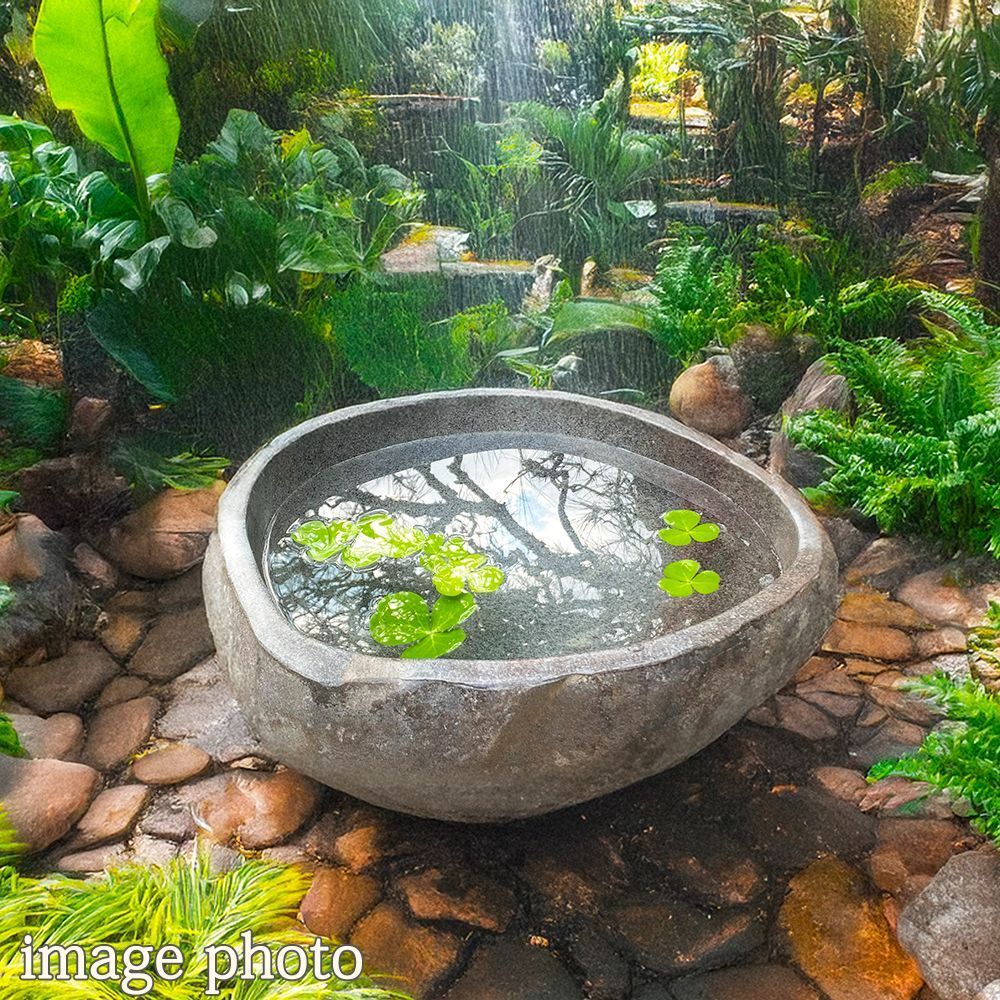 水鉢 石 メダカ鉢 めだか 大型 おしゃれ 庭 つくばい 手水鉢 蹲 睡蓮鉢