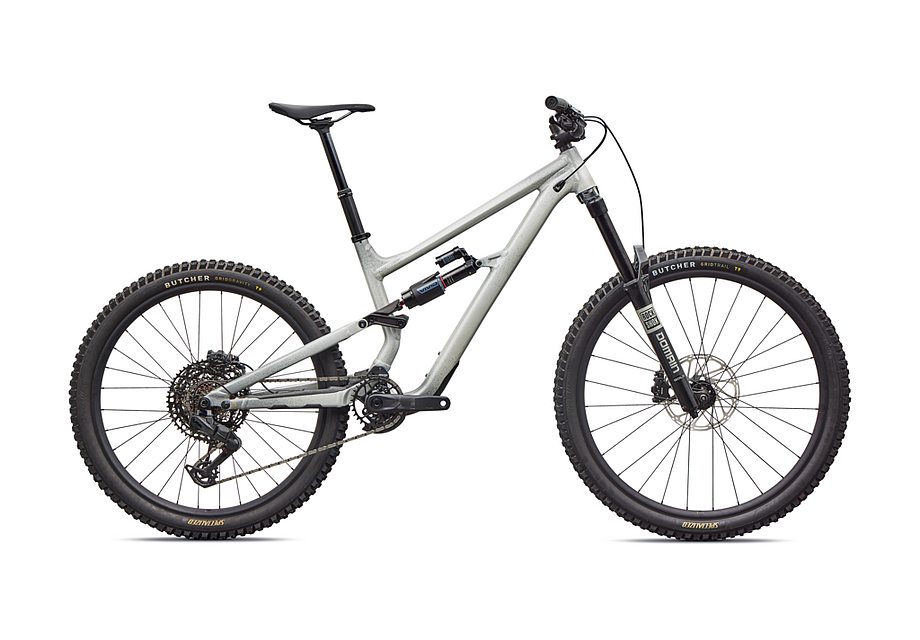 STATUS 170 2 SHDWSIL/DLMMET/CALSUN S2(S2 グロスシャドウシルバー