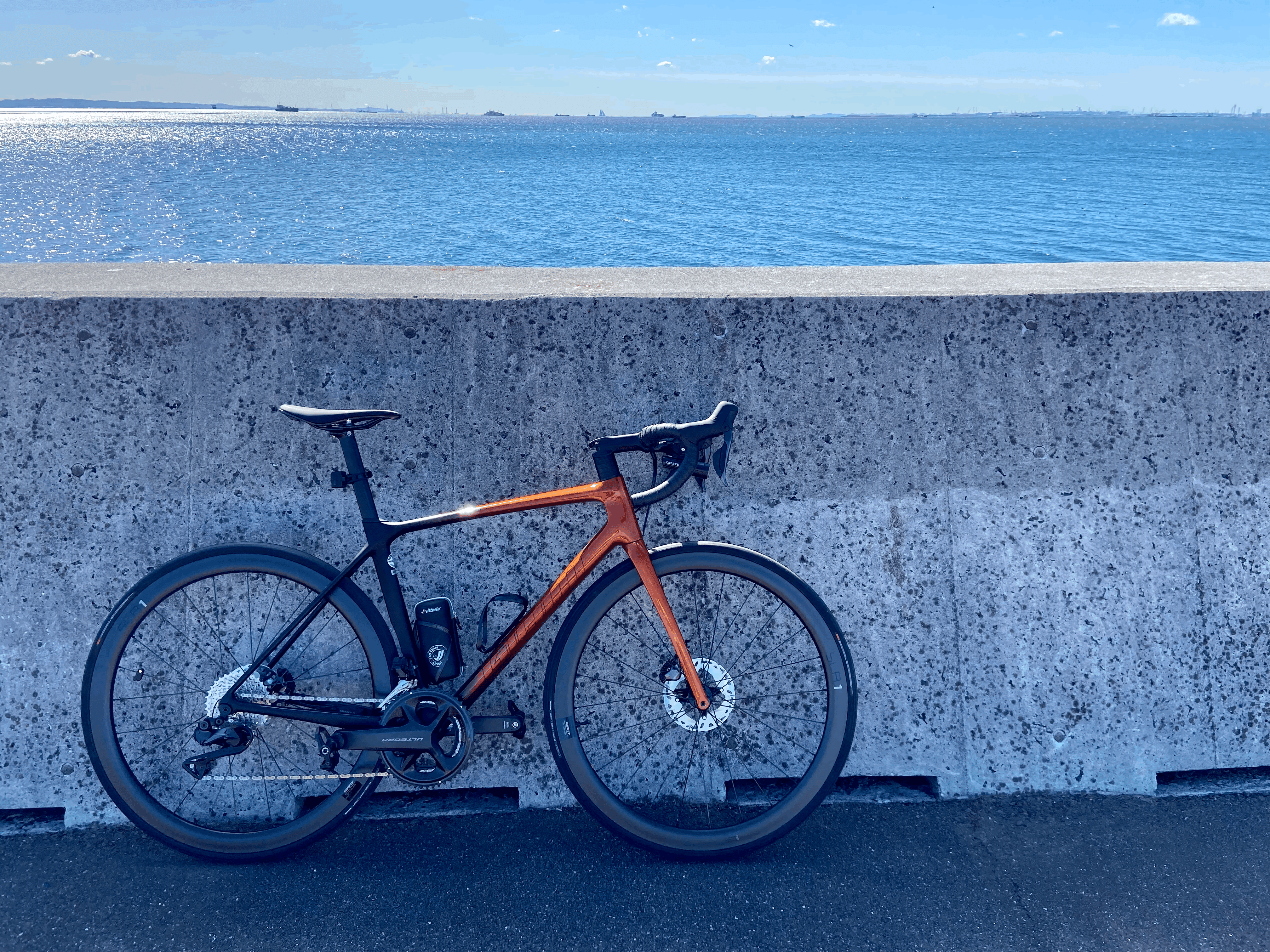 お客様バイク紹介 GIANT TCR ADVANCED PRO 0 Ultegra Di2 | BIKE SHOP