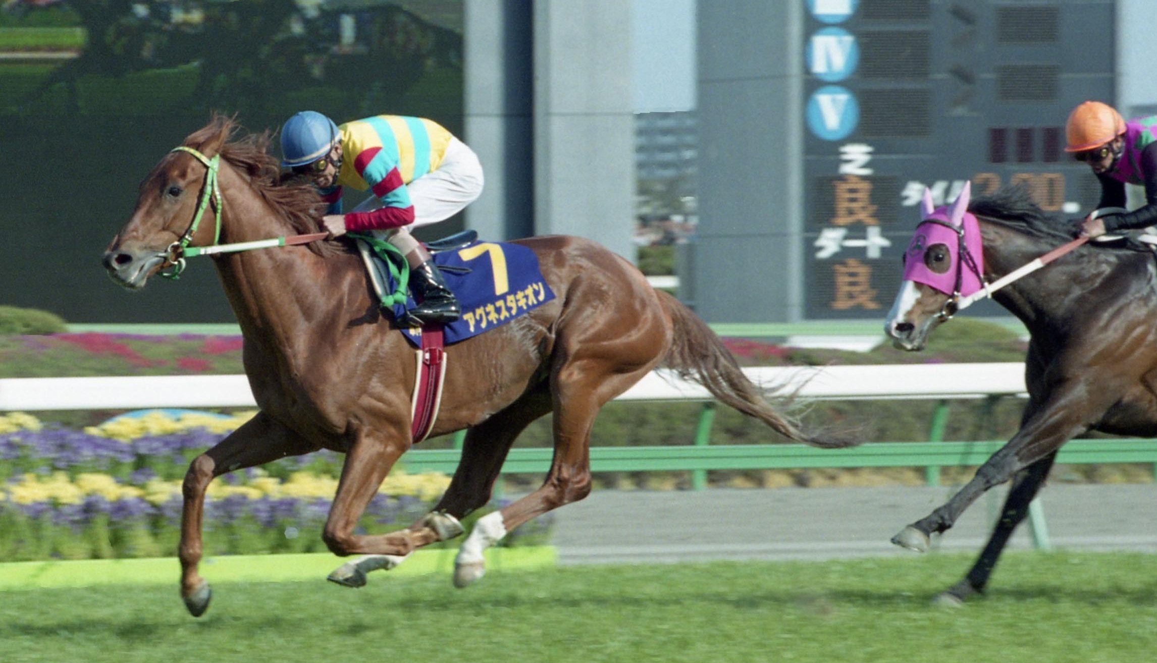 アグネスタキオンは〝知っていた〟のか…「ウマ娘」でも異彩を放つ名馬