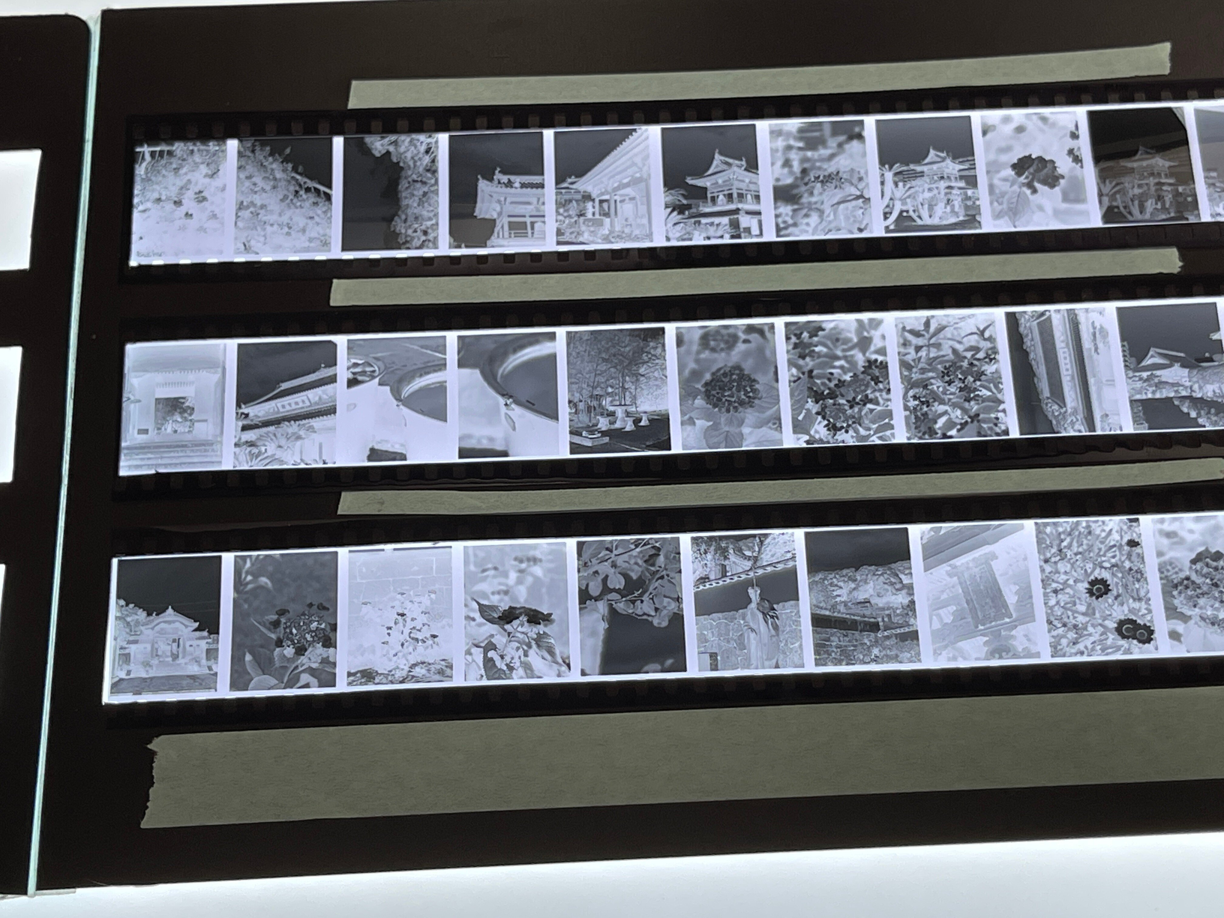 自作フィルムホルダーは激しくオススメ｜怪力熊男