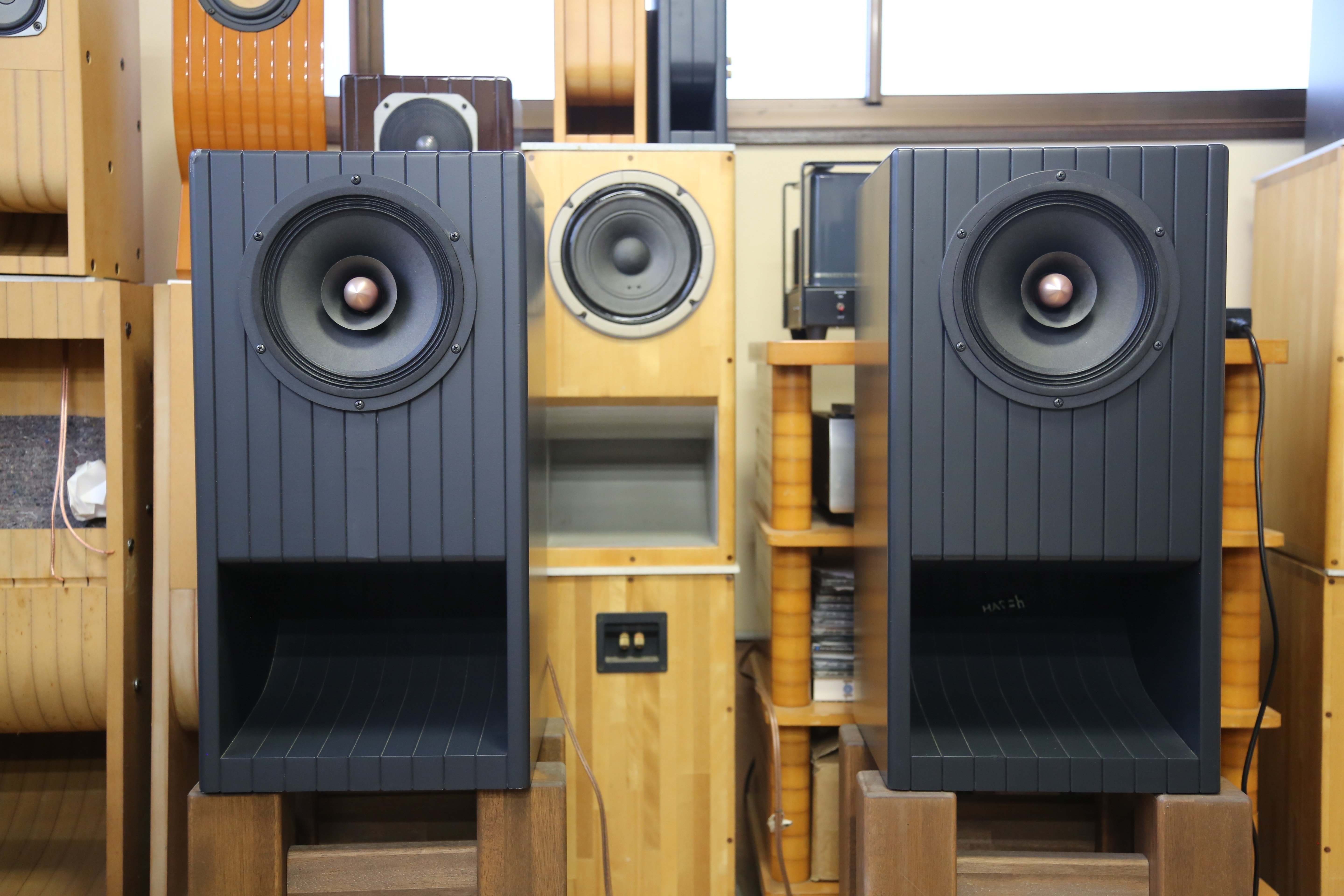 まるで、生音を聴いているかのようなサウンド。バックロードホーン