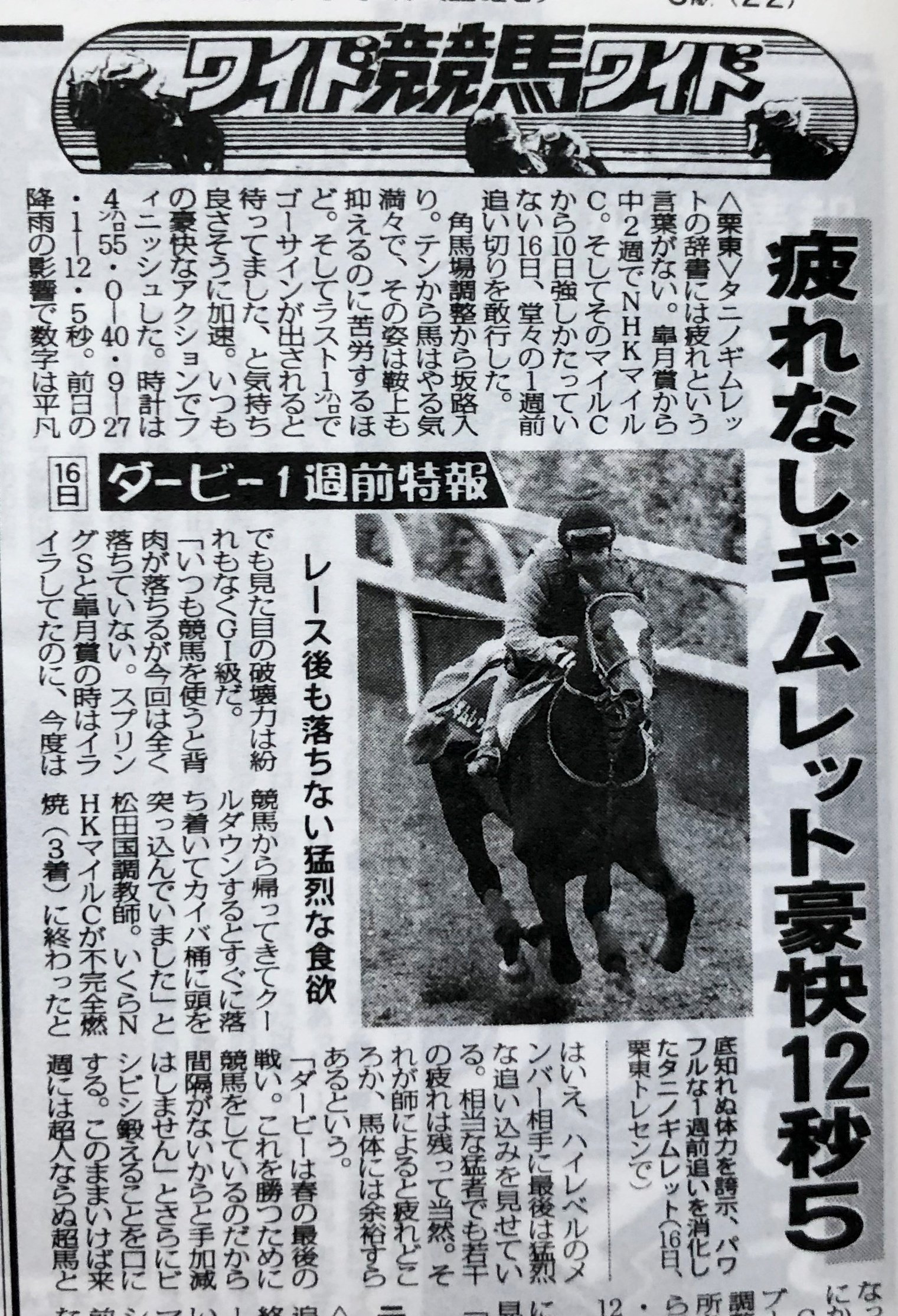 美学と信念の「ウマ娘」！タニノギムレットの挑戦と娘へつながる物語を