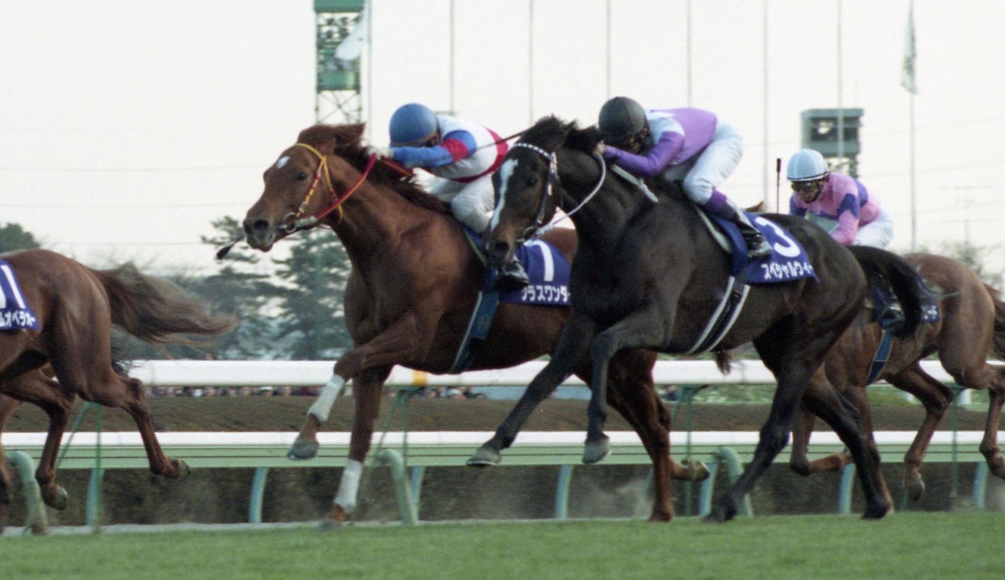 ウマ娘」でも黄金世代！グラスワンダーという名のジェットコースターを