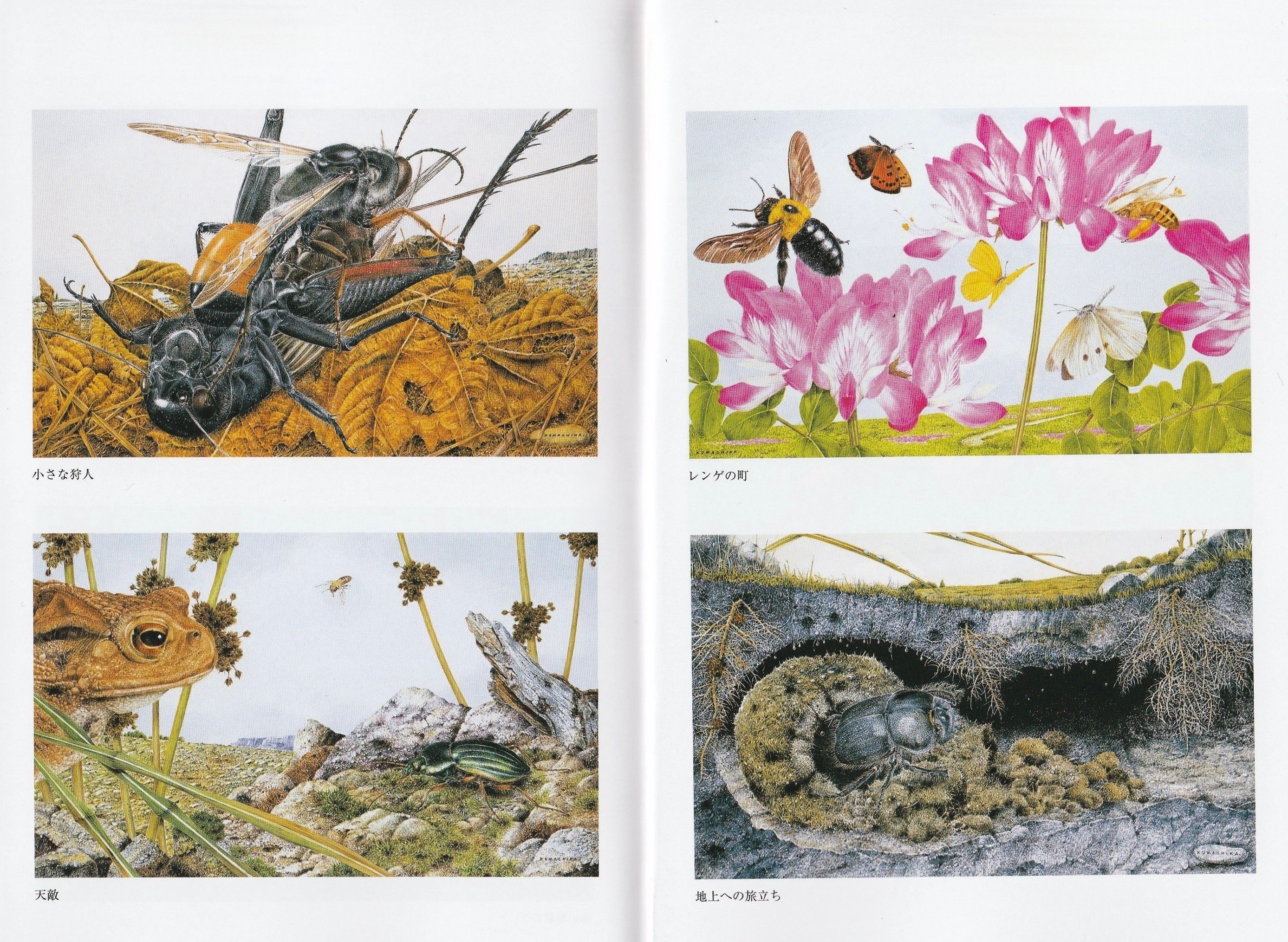 熊田千佳慕『新装版 私は虫である』｜KAZE