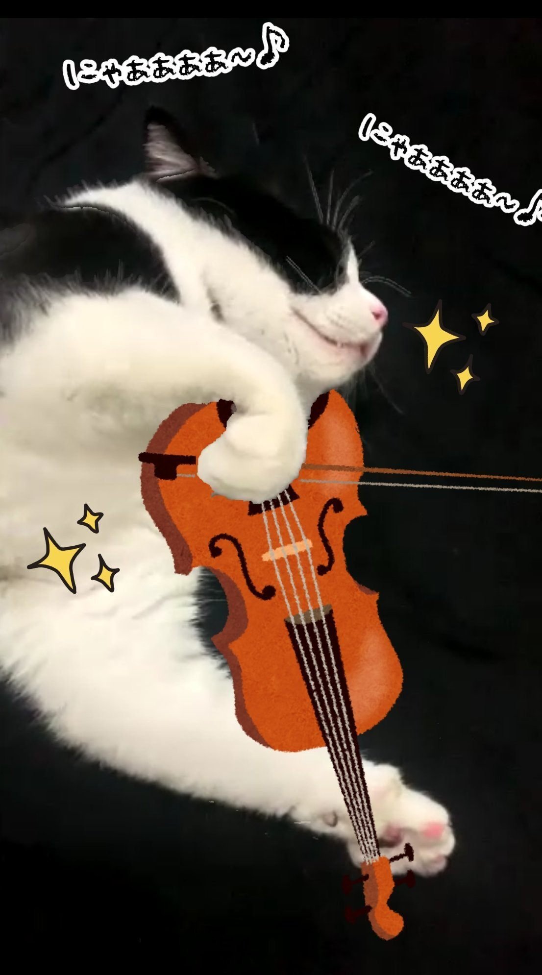 まるで猫のバイオリン弾き！寝ている間に手が動いてしまう猫の仕草が