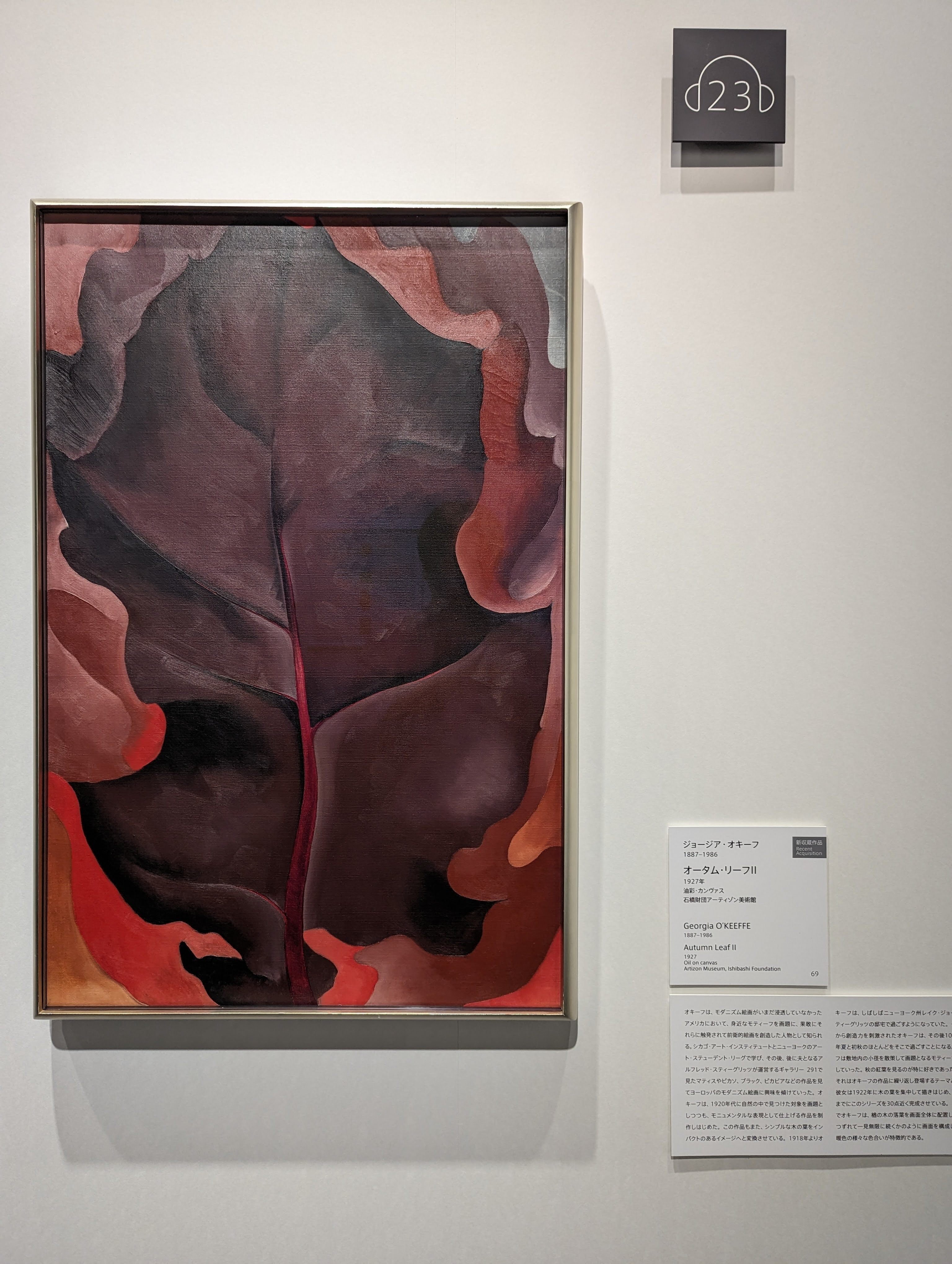 ABSTRACTION 抽象絵画の覚醒と展開 セザンヌ、フォーヴィスム