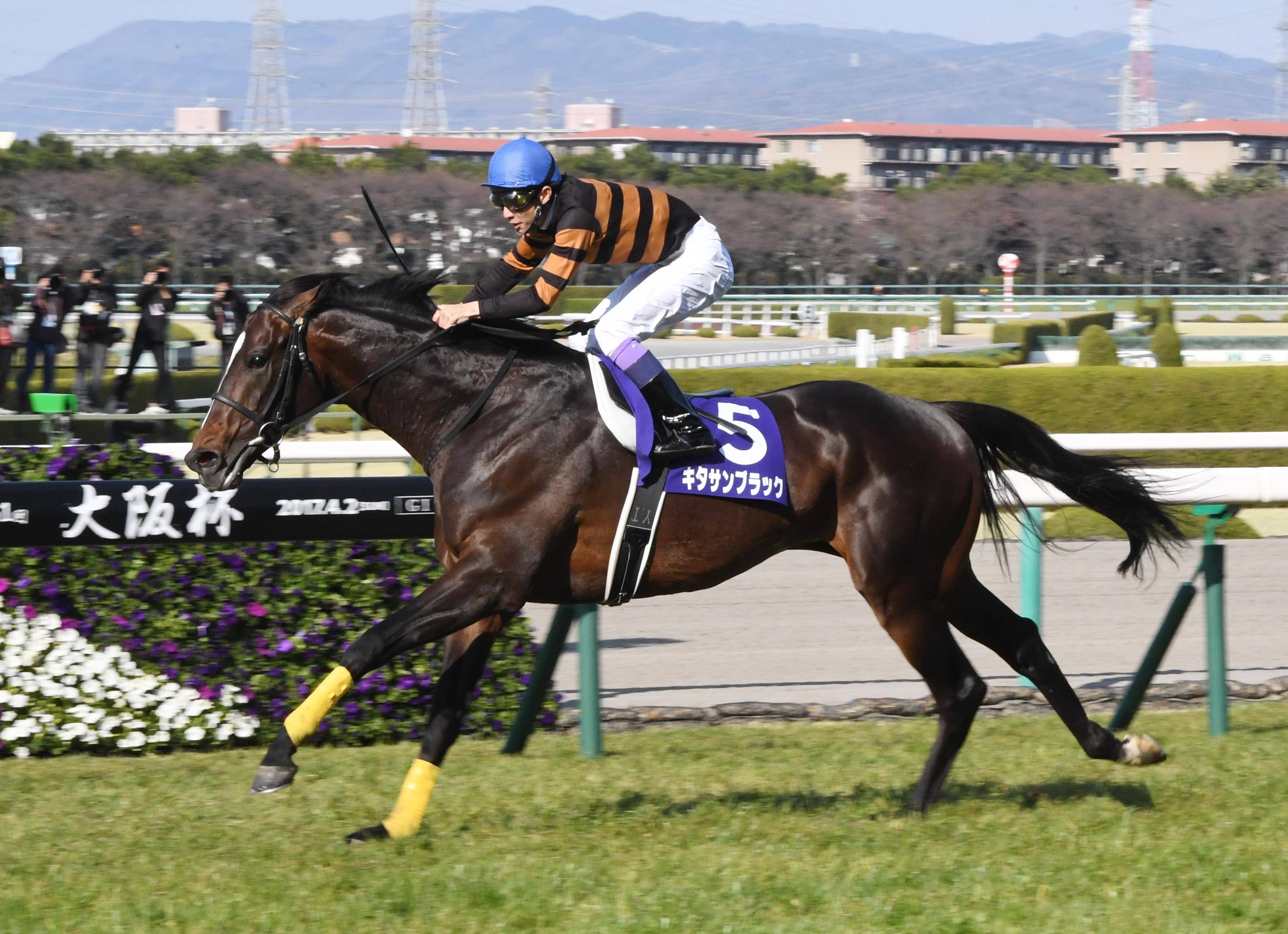 リベンジで膨らんだ夢 アニメ「ウマ娘」で描かれた天皇賞・春と直後の