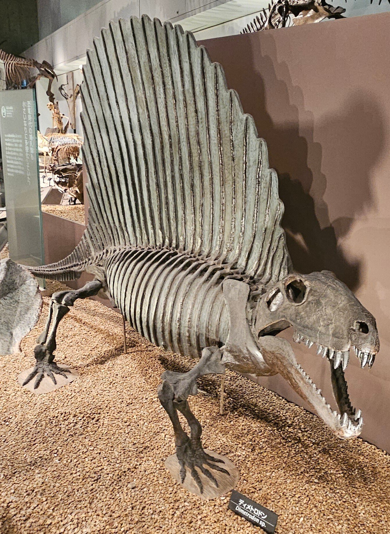 The Lost Universe 巨大単弓類②巨大盤竜類｜美原さつき