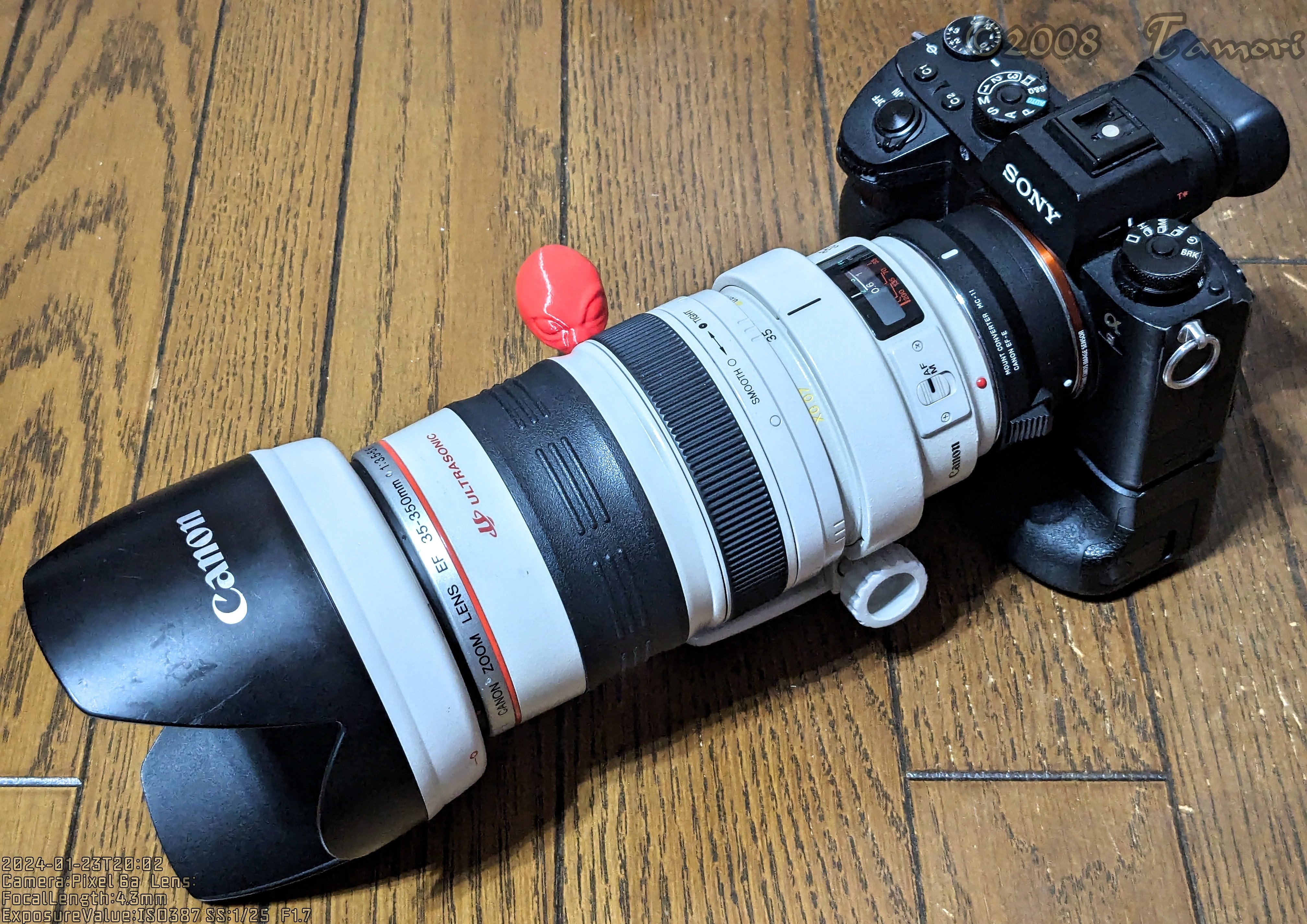 今更ながらEF35-350mm F3.5-5.6L USMを購入｜t@mori