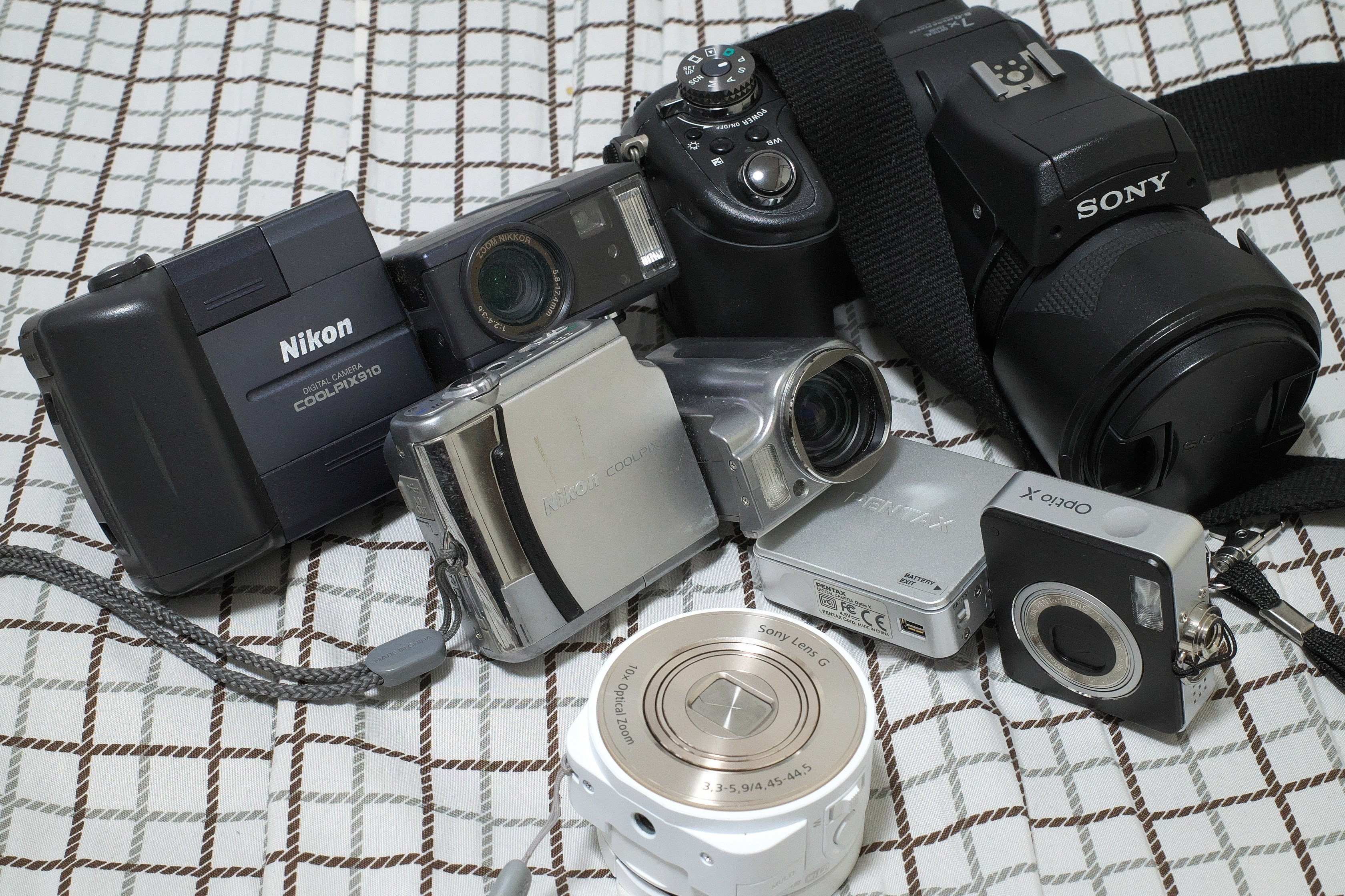 スイバルに会うも他生の縁 (PENTAX Optio X)｜夢望庵 / Mubou-an