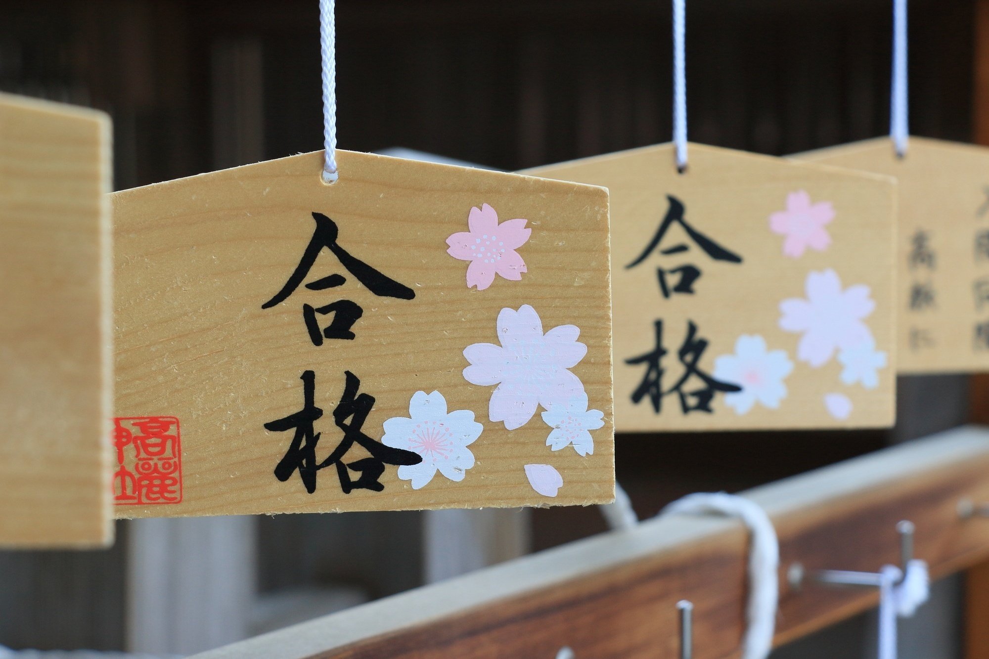 暁星幼稚園、暁星小学校に合格するために必要なこと。｜絶対合格‼️お