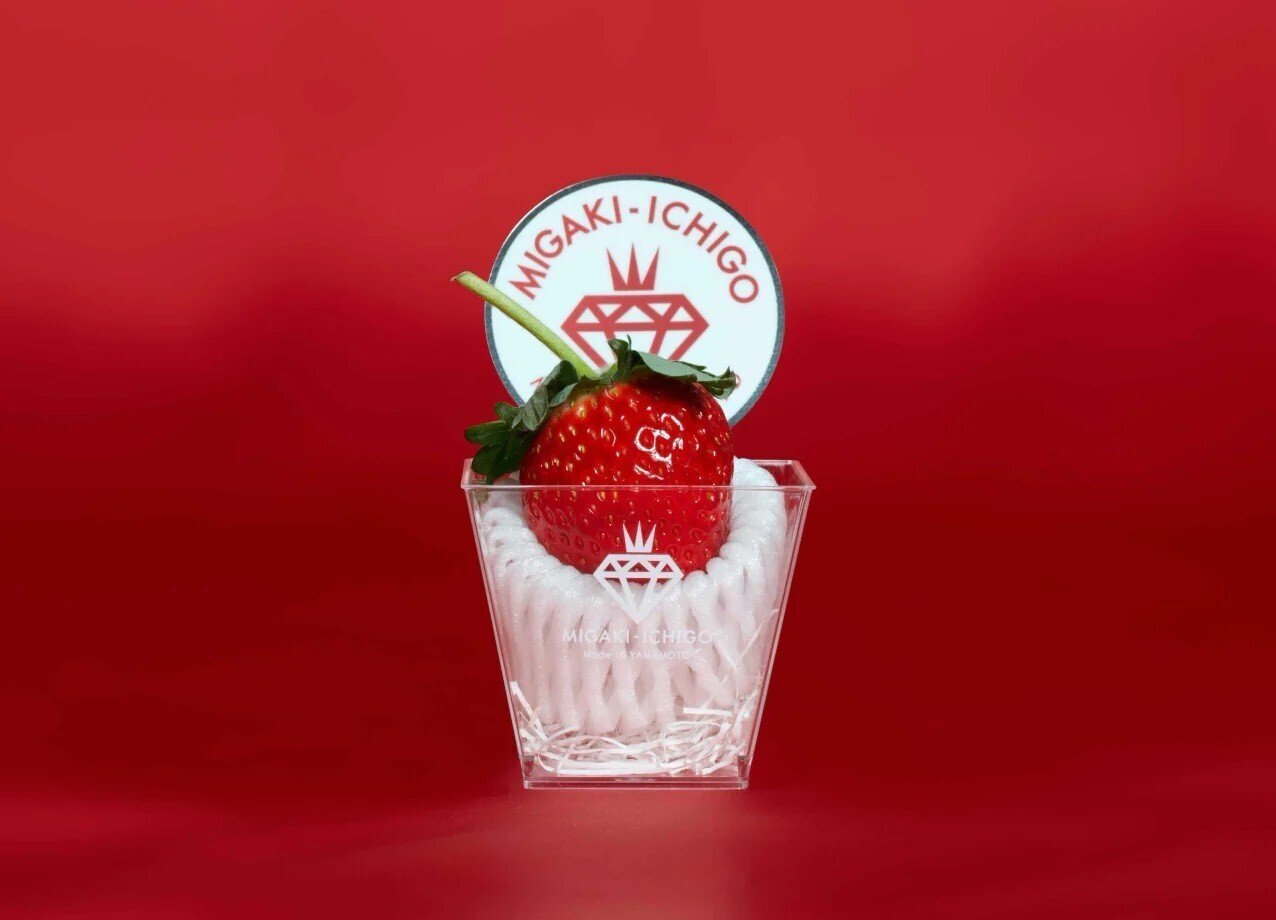 Taihakutopia＊ ▶︎宮城が誇るいちごブランド！ミガキイチゴの