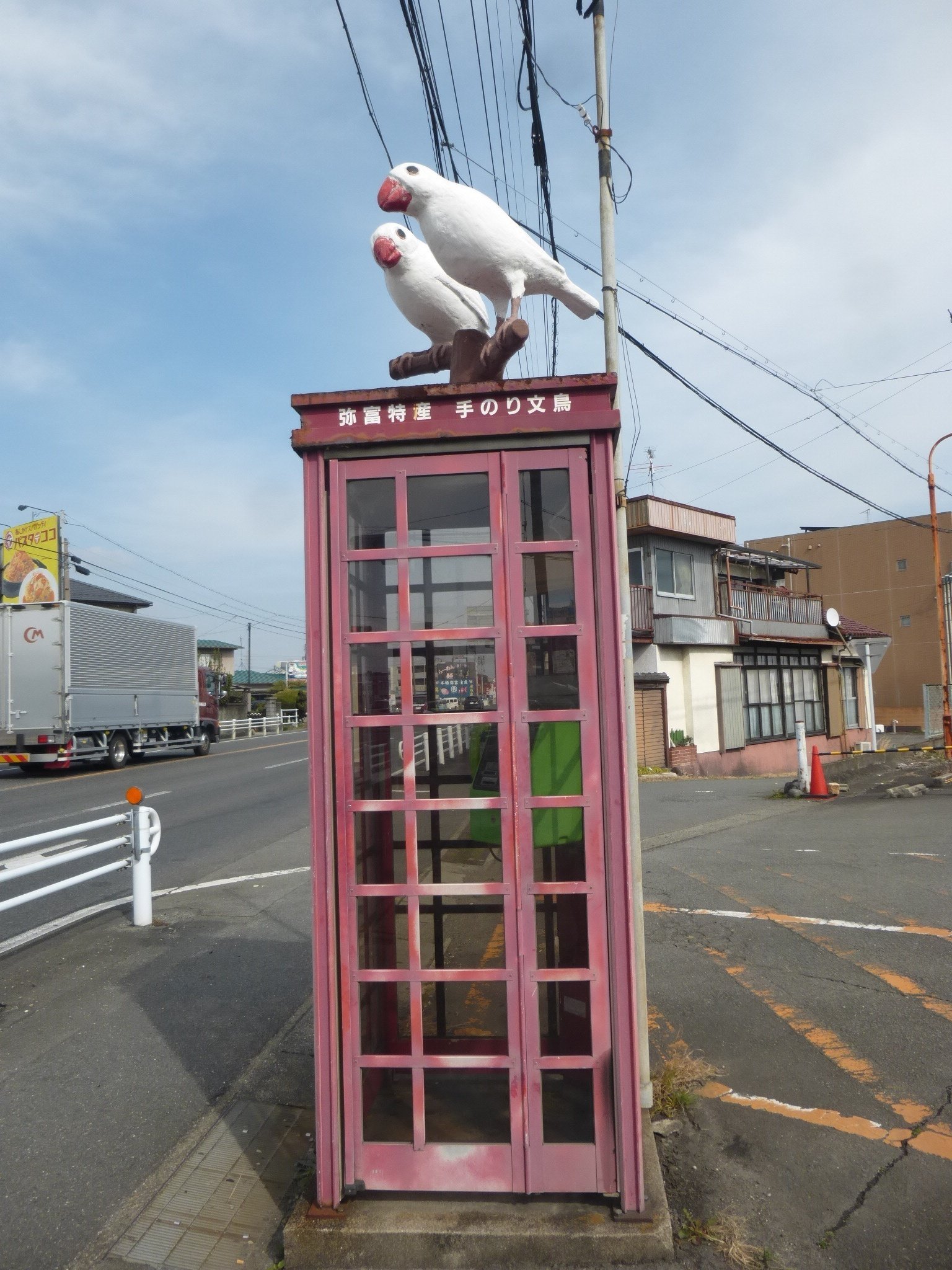 リニューアル後の白文鳥電話ボックス、もう訪れましたか？｜文鳥大学