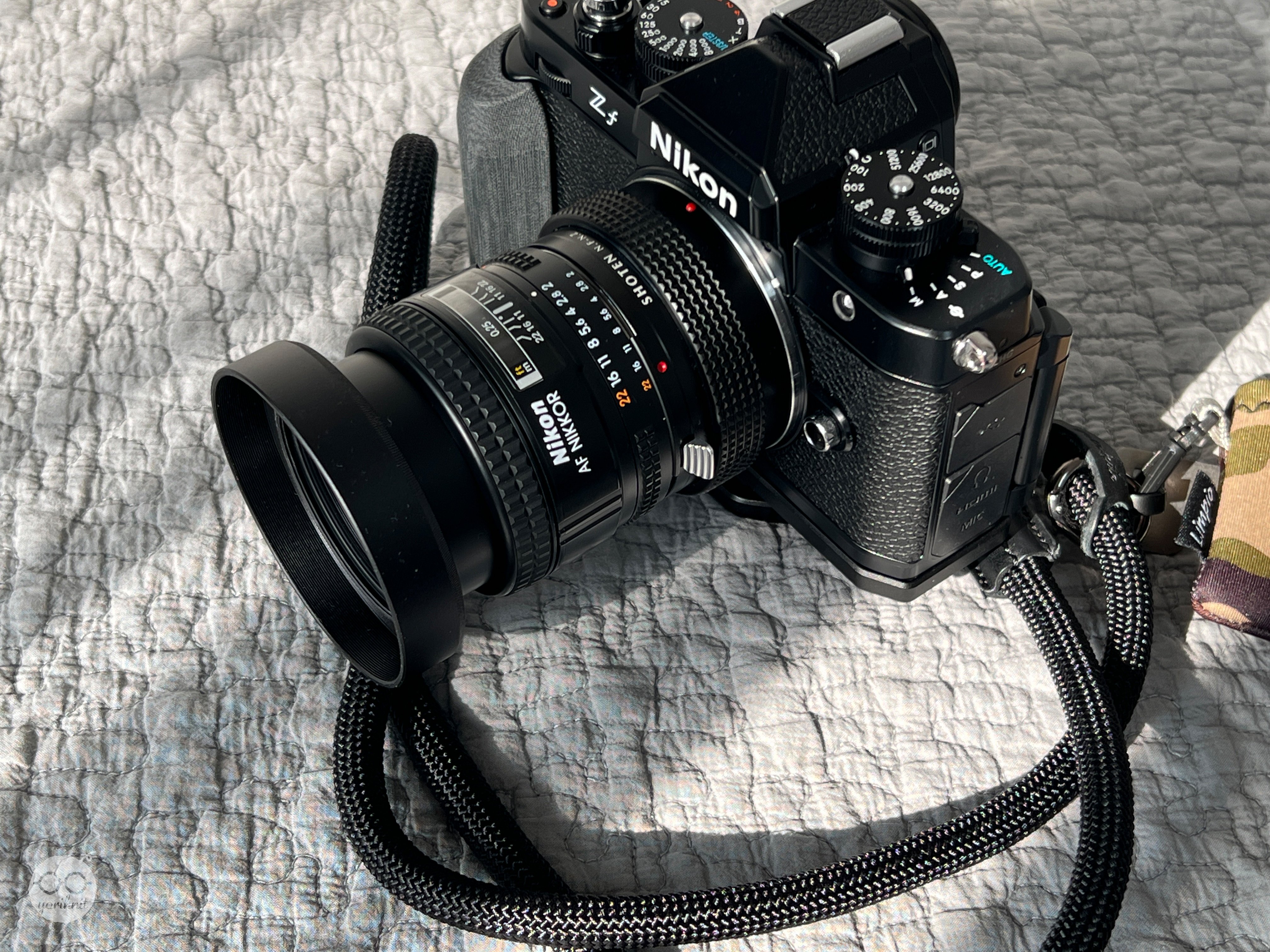 私のオールドレンズ三人衆。 ｜ Nikon Zf｜yoriknit