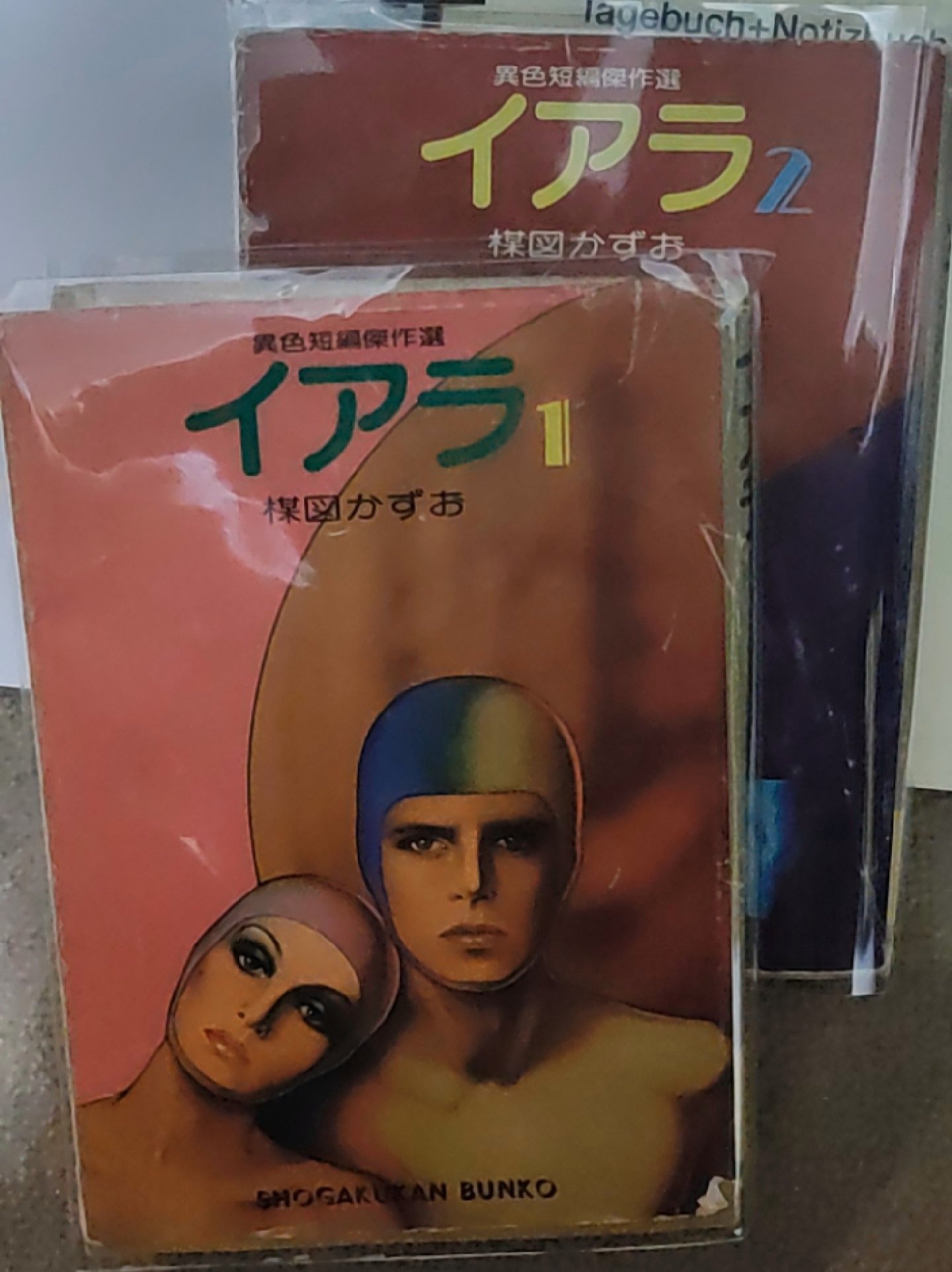 いあらよみかえす｜糢糊moko_aimaini_mierusama