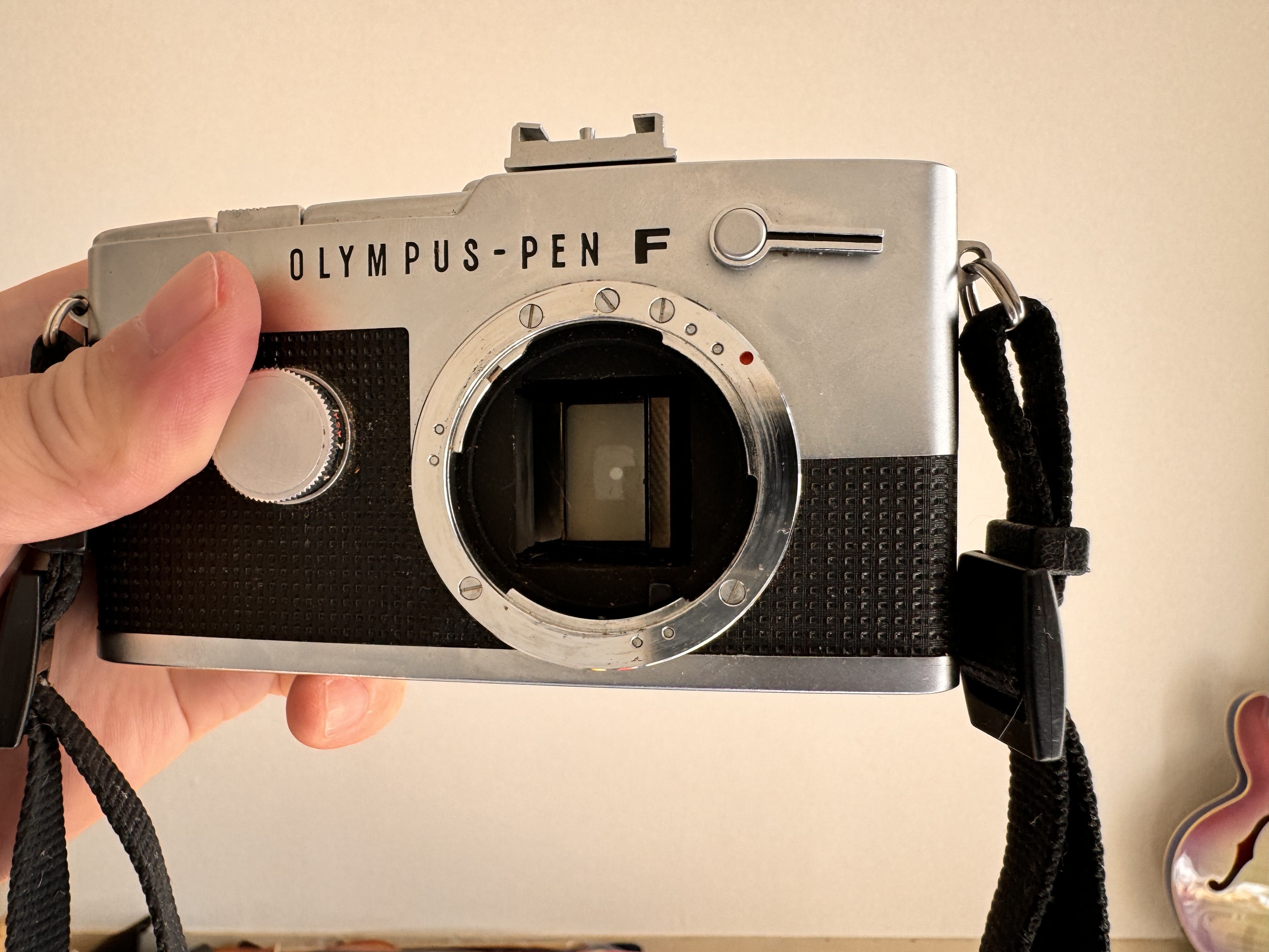 OLYMPUS-PEN FT 父が買ったフィルムカメラ。我が家にカメラがやってき