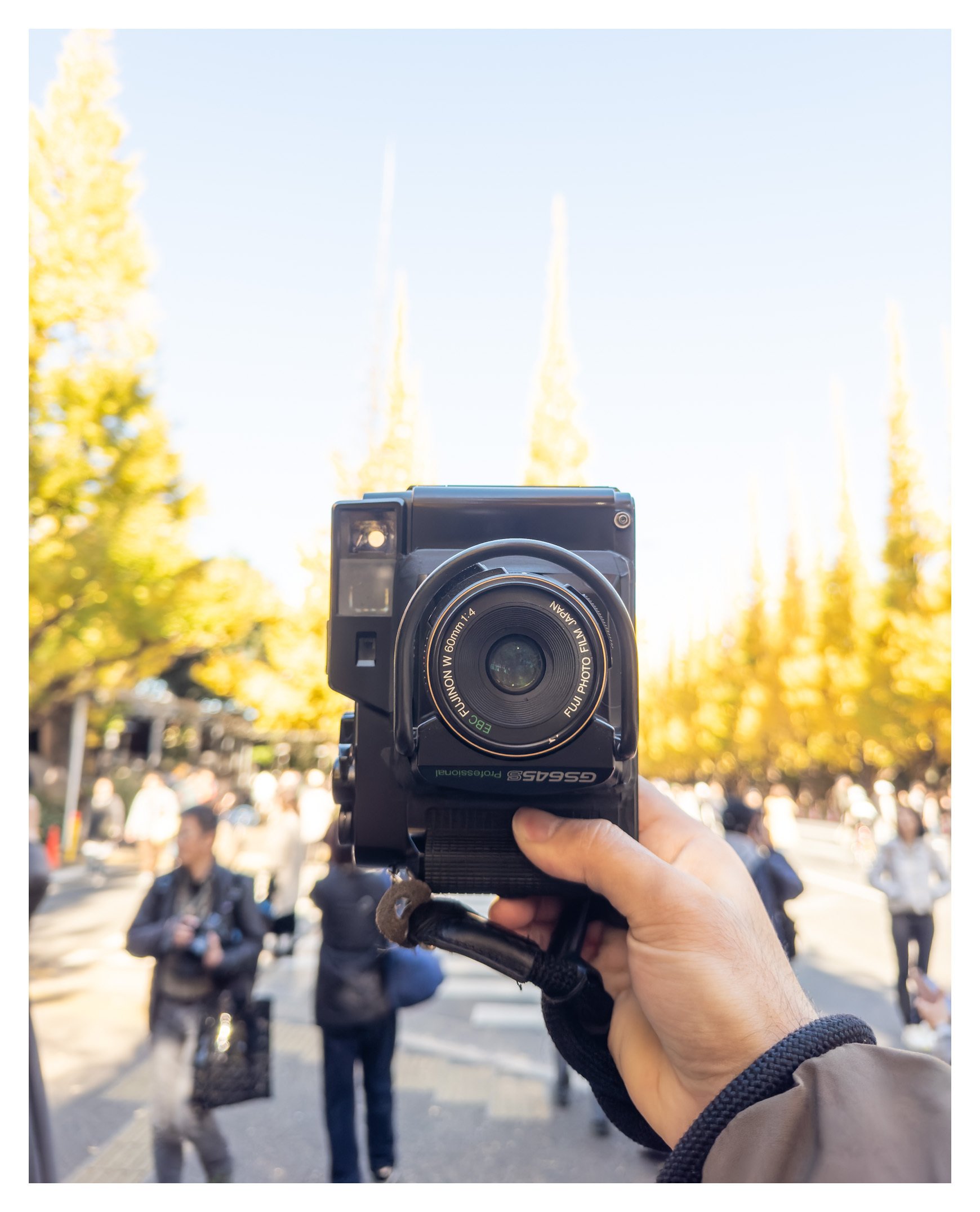 作例60枚]2024年、僕は中判フィルムカメラを4台買った｜Yoshida