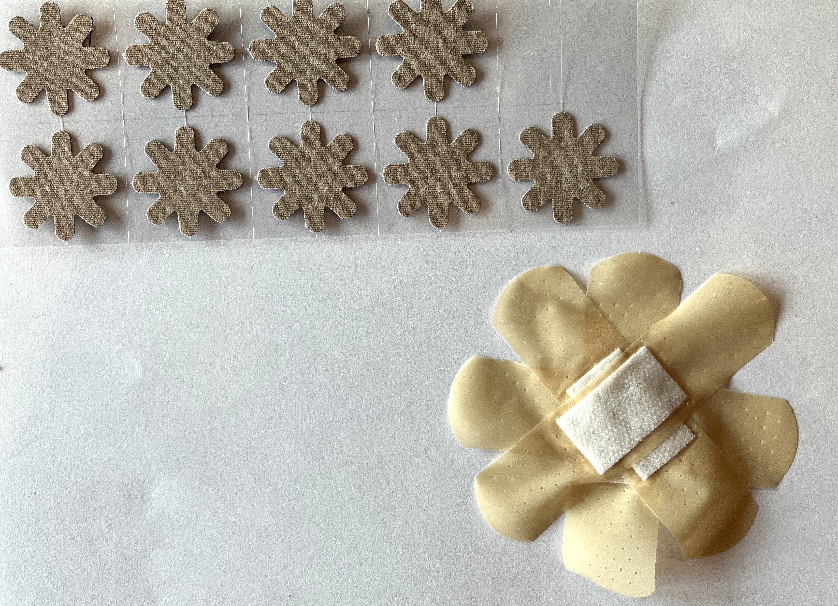 1/24 からだのお守り「八方神ダイヤテープ」｜南里 秀子