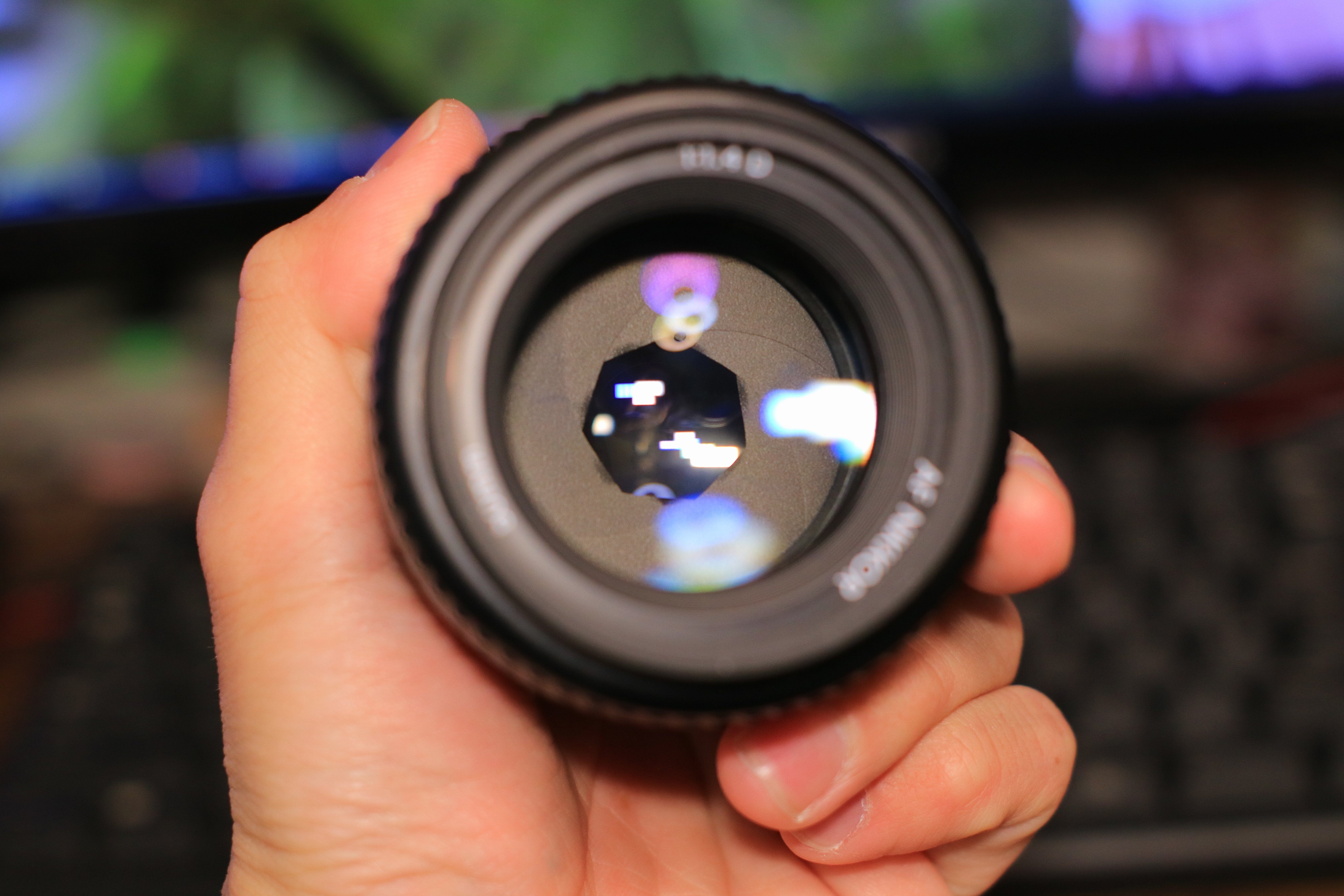 mayuriとレンズぬま *第三十五本* Nikon Ai AF Nikkor 50mm F1.4D｜mayuri