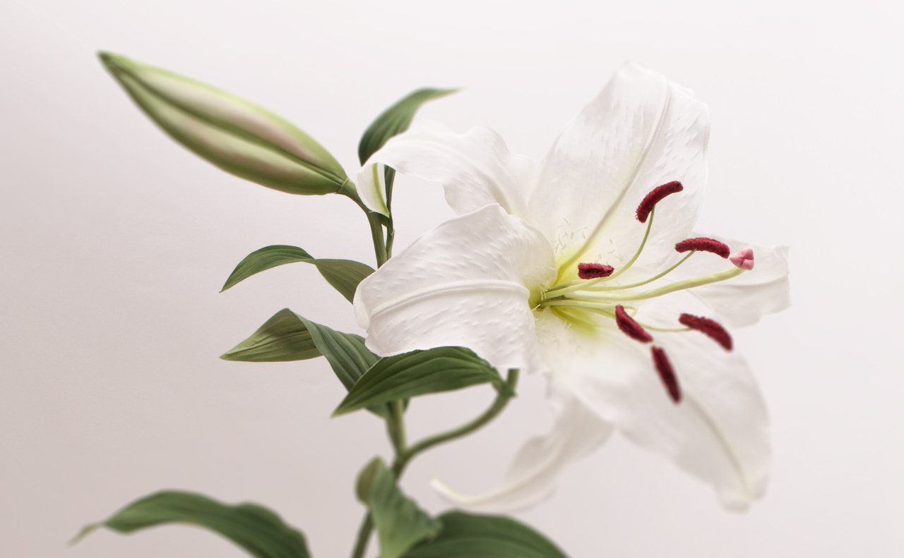 深雪アートフラワー、飯田深雪とは｜Kukkula / SS MIYUKI studio Inc.