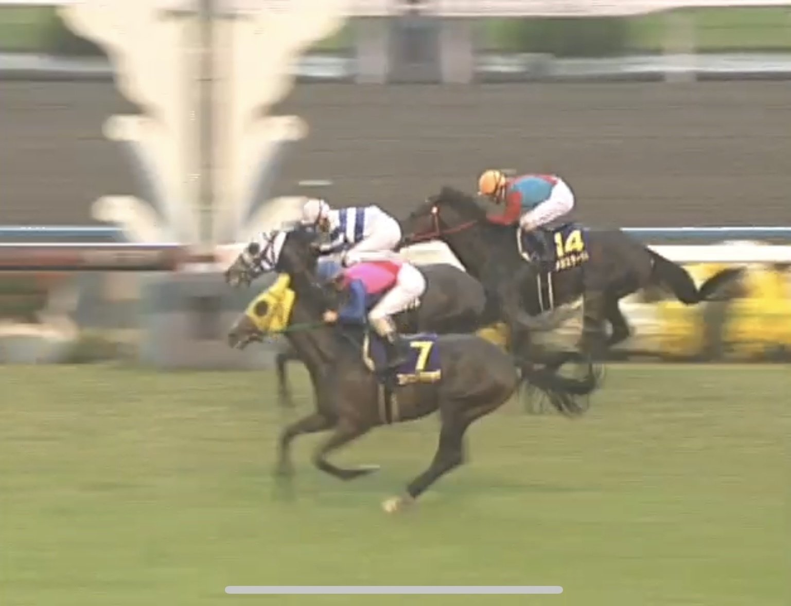 UMA] 「ふつう」で「ズブい」ウマ娘が、GⅠを3勝するまでのお話 宝塚