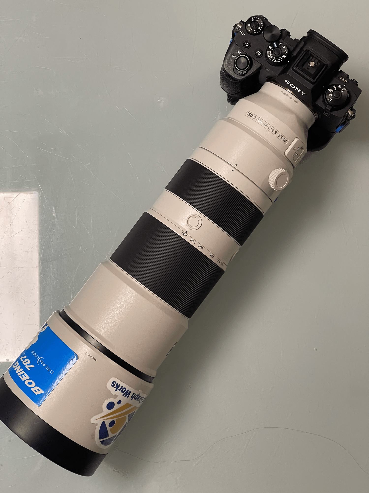 SONY FE 200-600mm F5.6-F6.3 G OSS 長期使用レビュー｜Junichi Fukuda