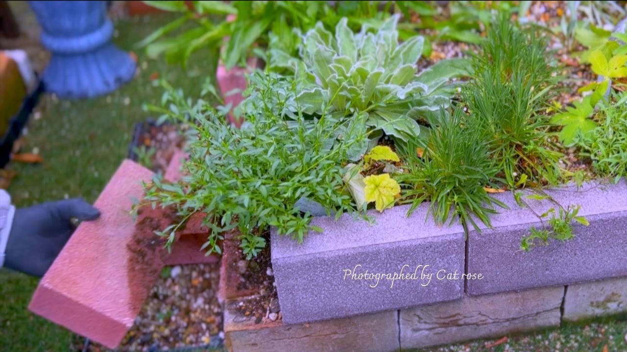 お庭へっぽこDIYで花壇の修復｜Cat rose 「ガーデニングブログ Cat