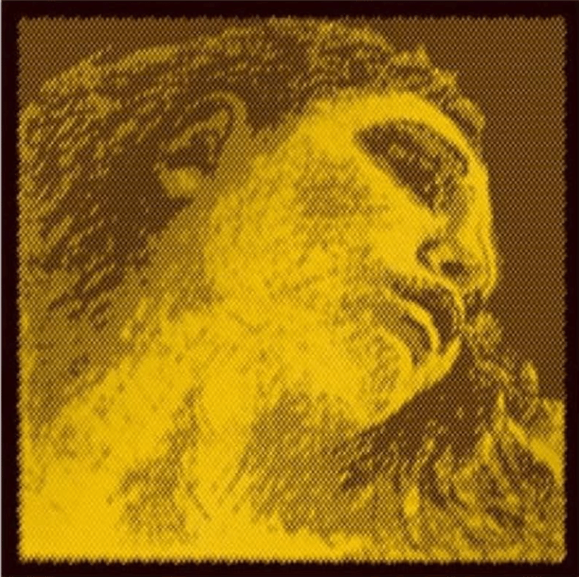 エヴァピラッツィ ゴールド バイオリン弦 5セット バイオリン弦 エヴァ