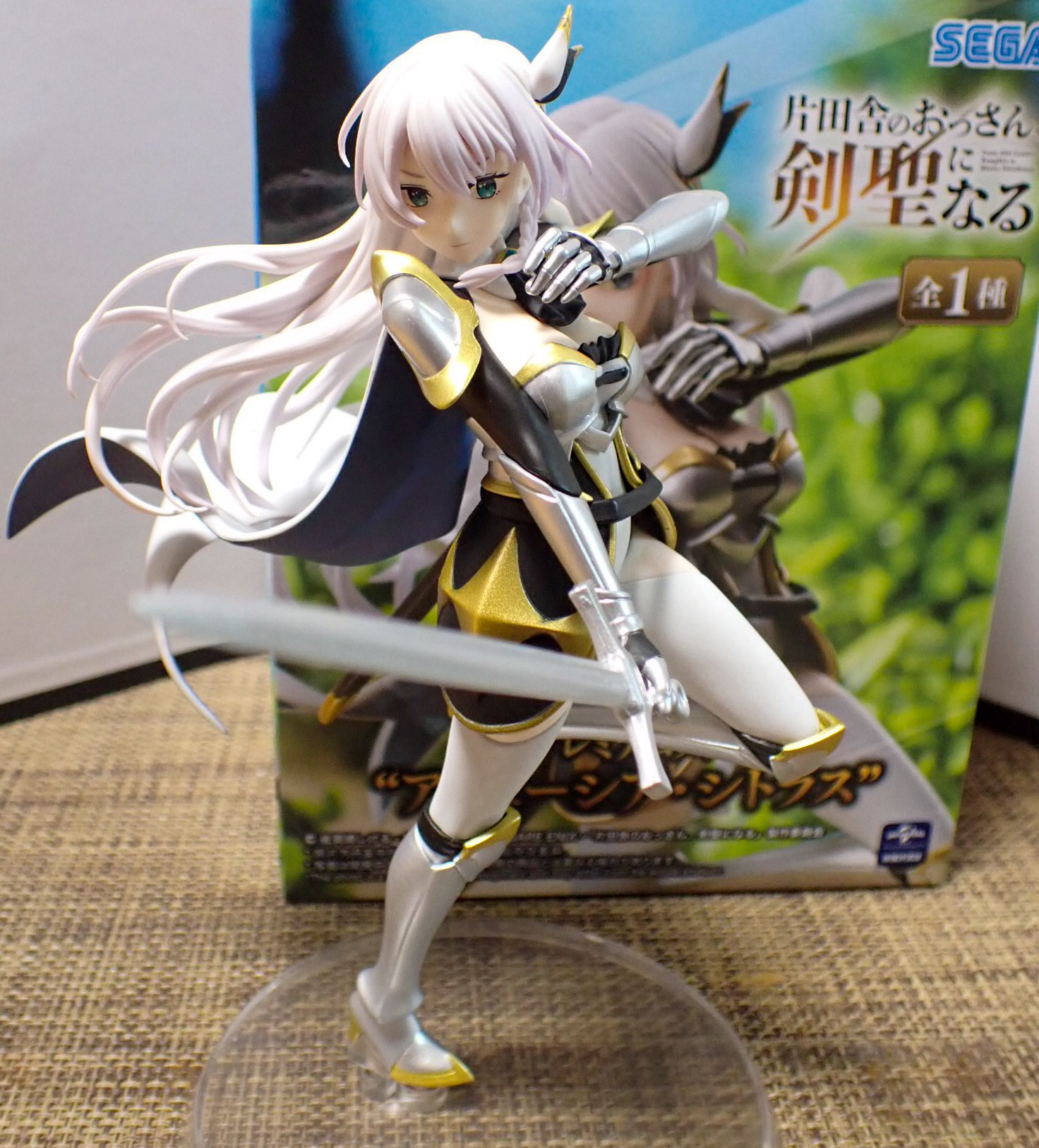 フィギュア アリューシャ・シトラス（片田舎のおっさん剣聖になる