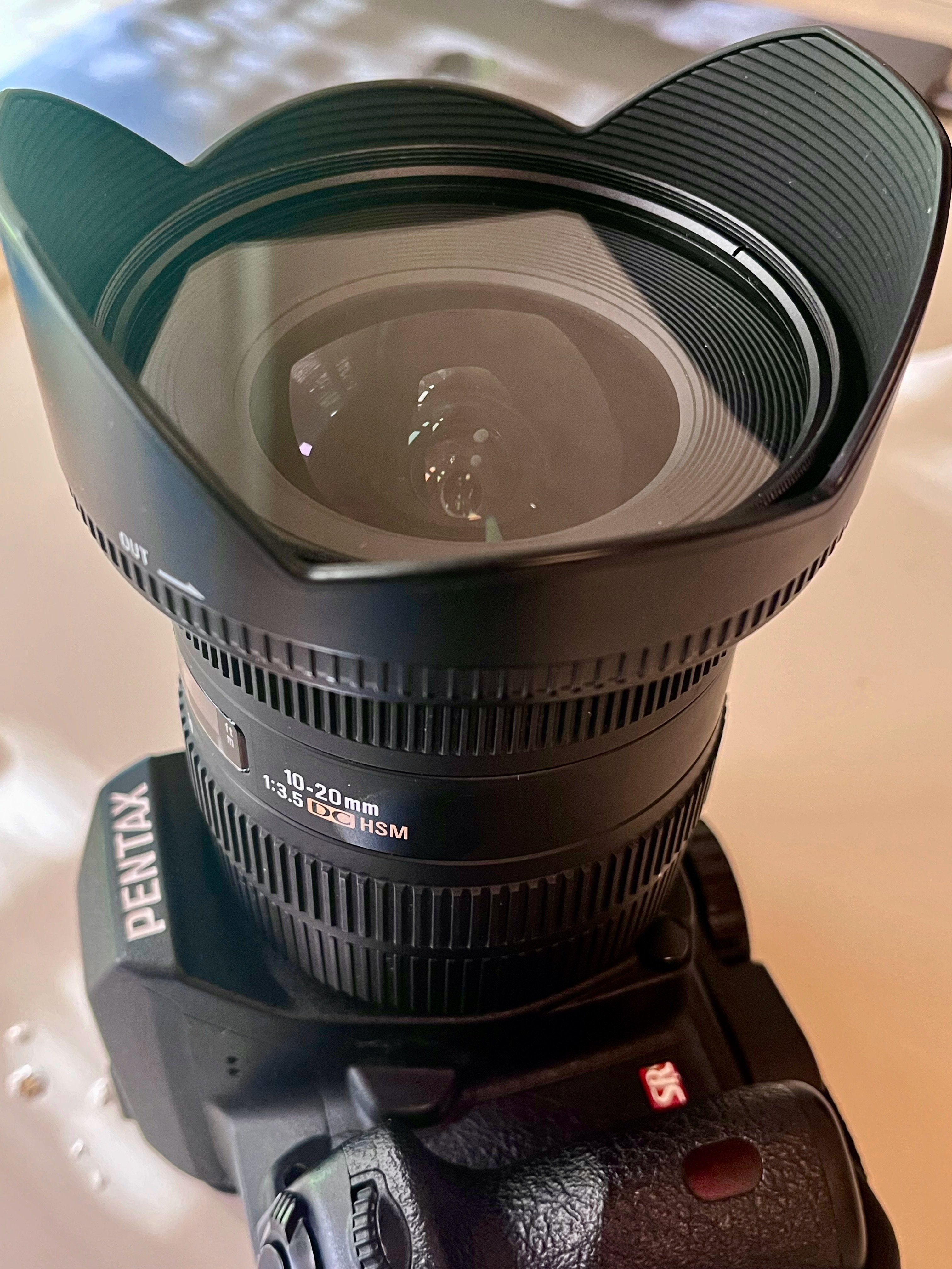 カメラ遊び】 超広角レンズは虫視点で撮った（ような）写真を生み出す