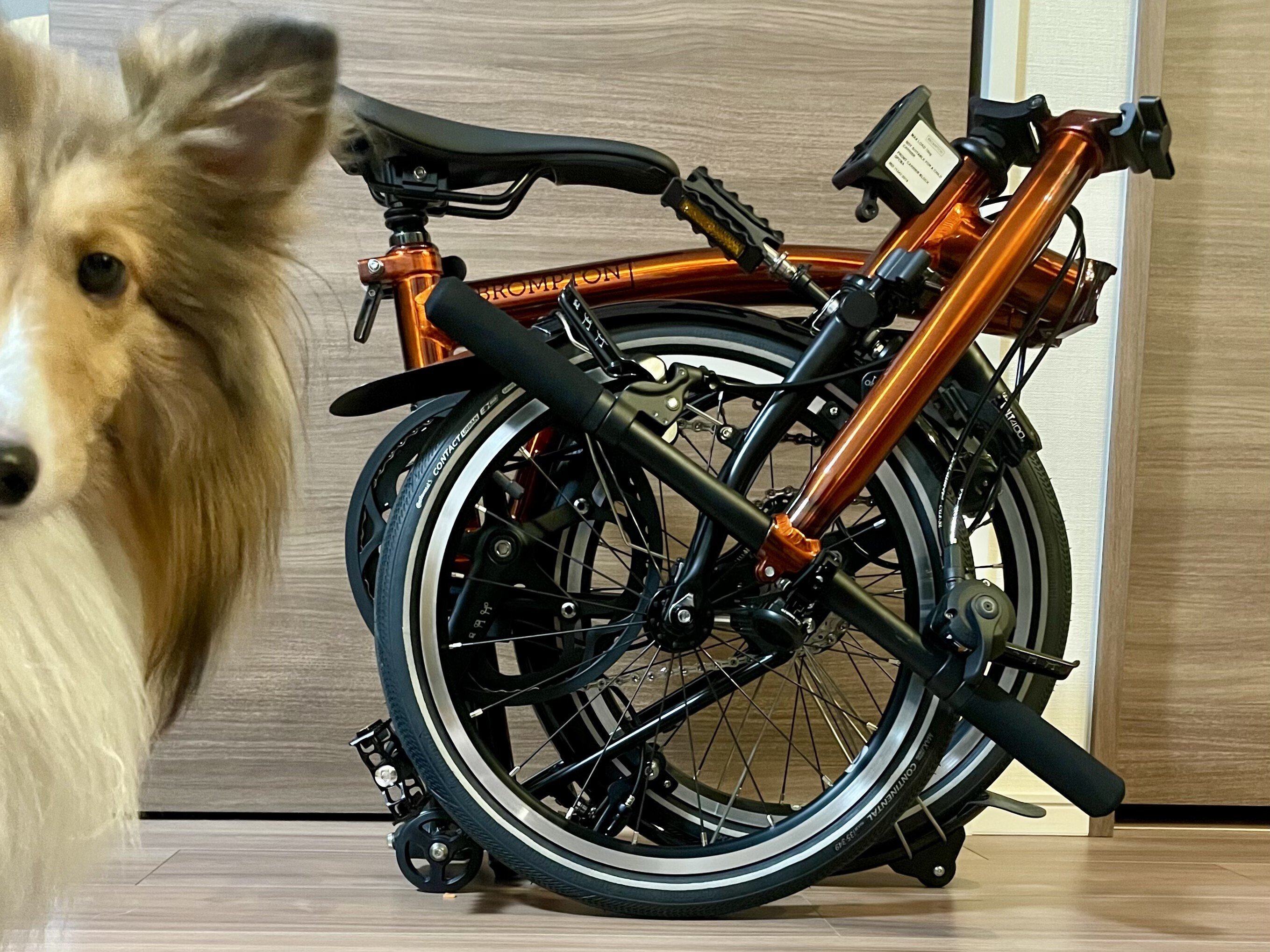 Nakagawa でクロモリロードを組んでもらった話｜tdk8823