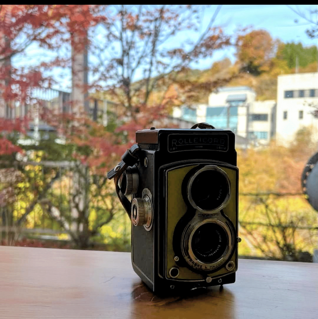 ROLLEICORD IIIの撮影見本｜ごん色カメラ