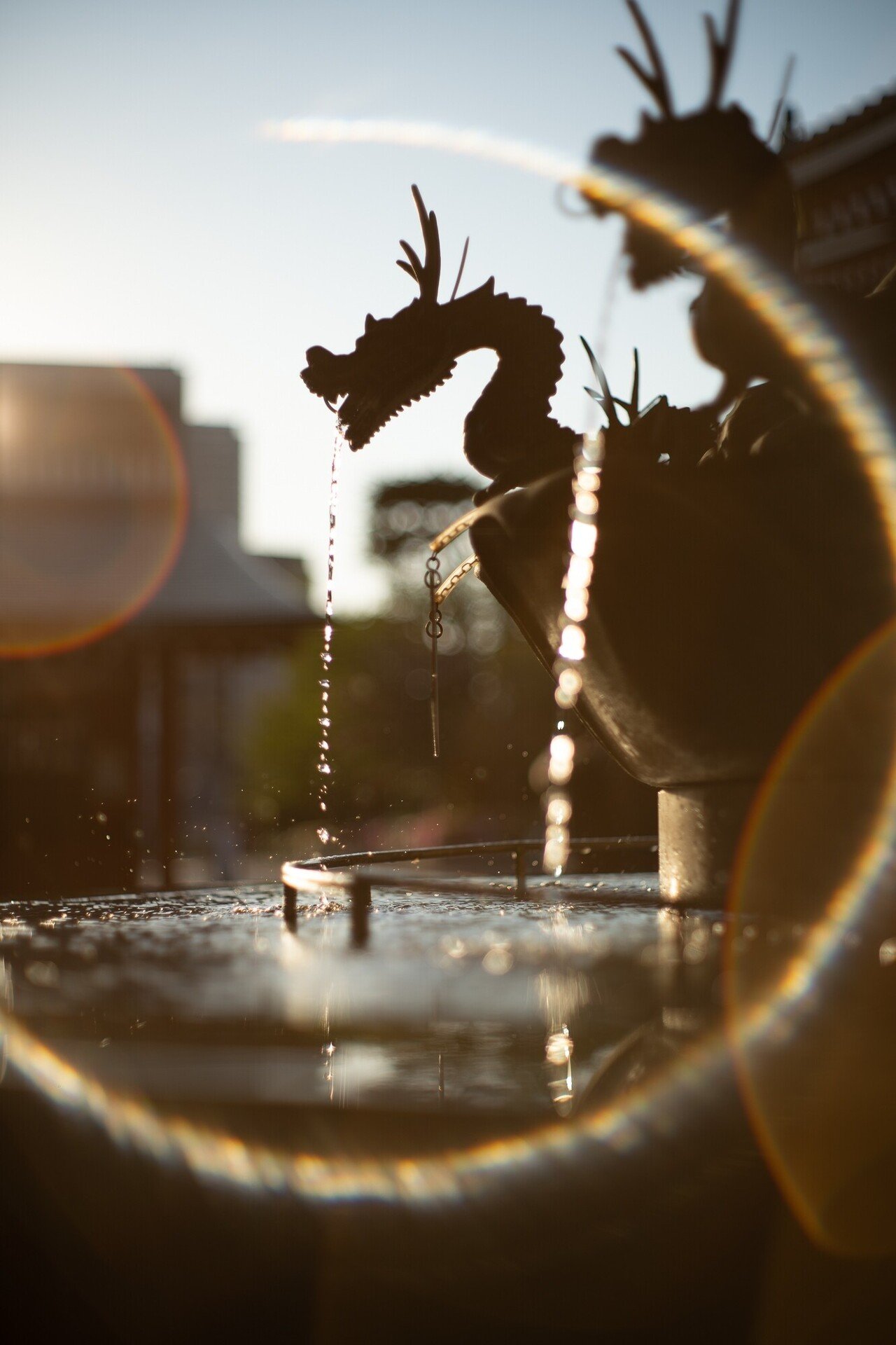 YASHICA AUTO YASHINON-DX 50mm F1.4 × ストリート｜PS2U